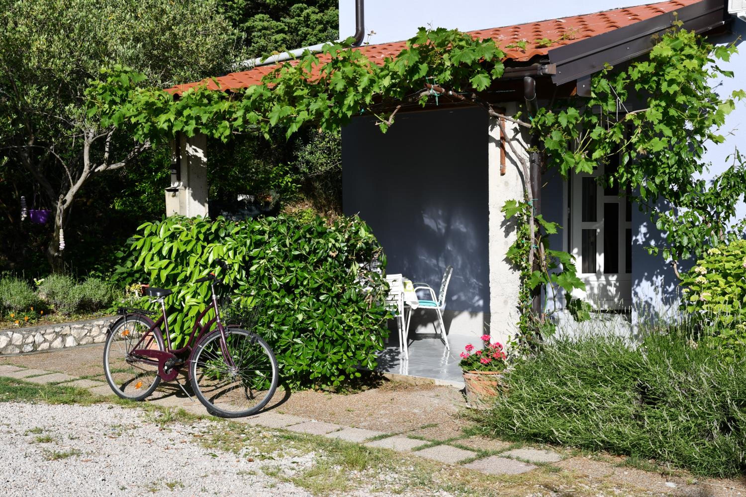 apartmani Novotny- žuti