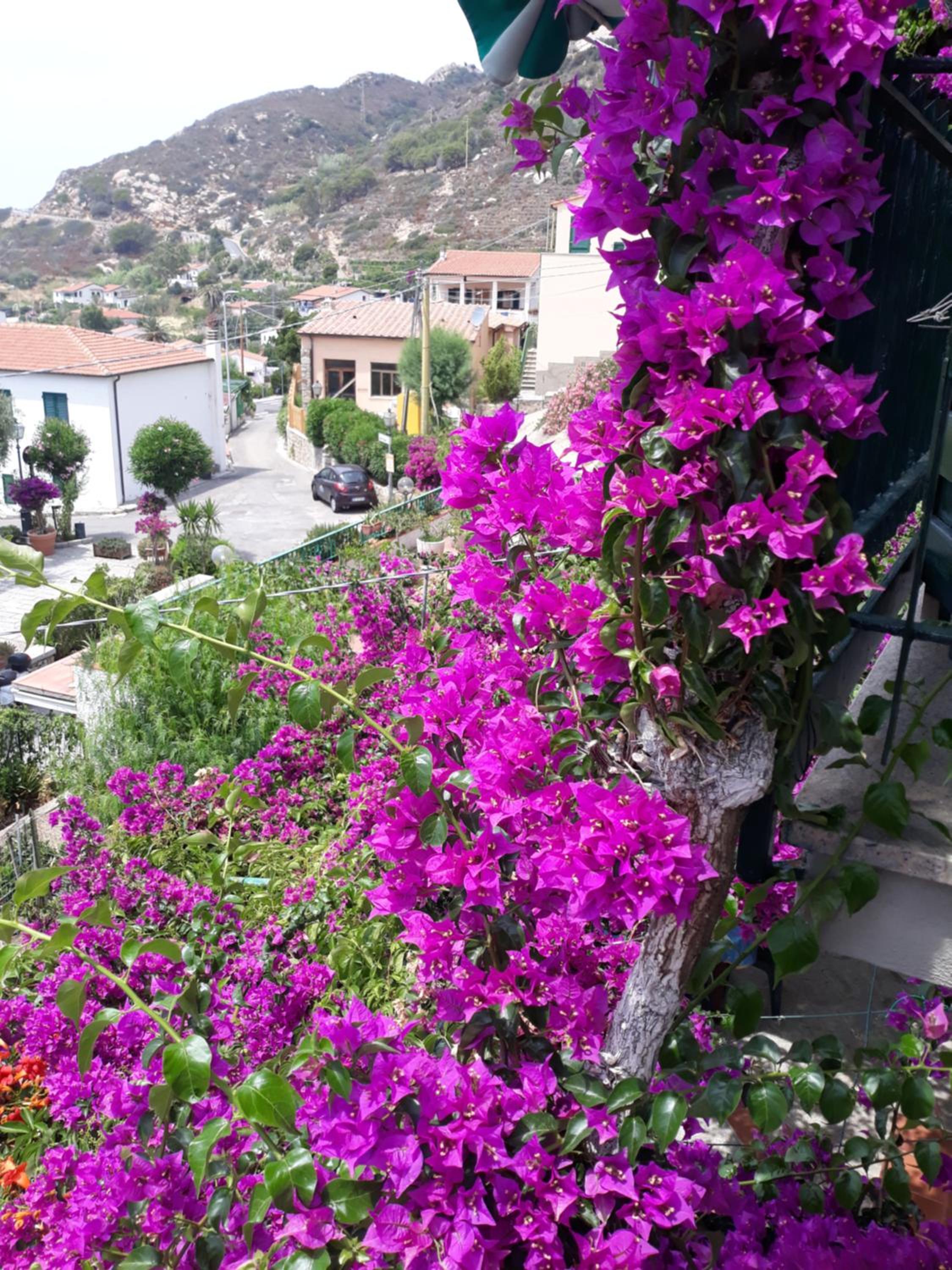 Casa Armida Chiessi view 3