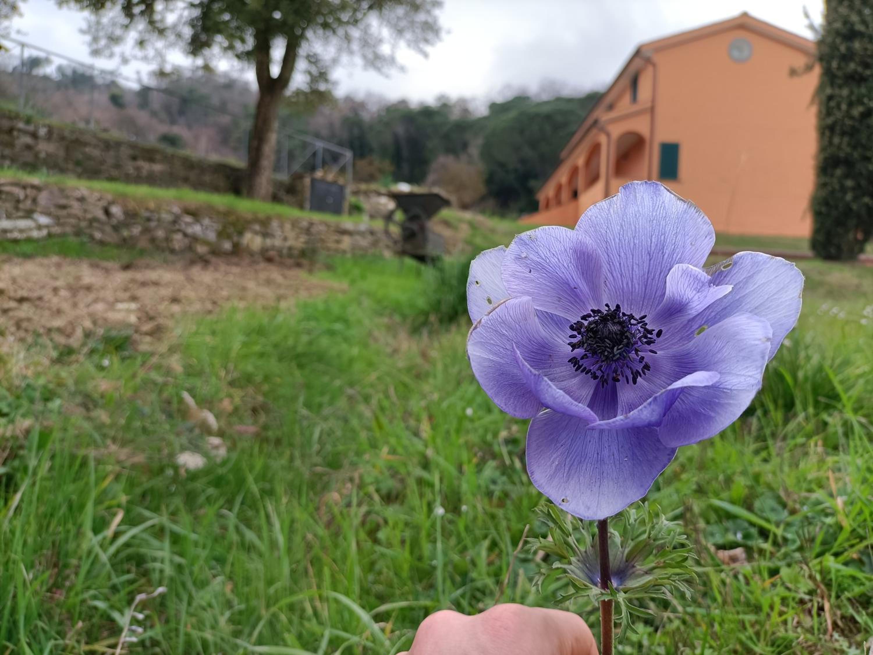 B&B Agriturismo Regno di Toscana