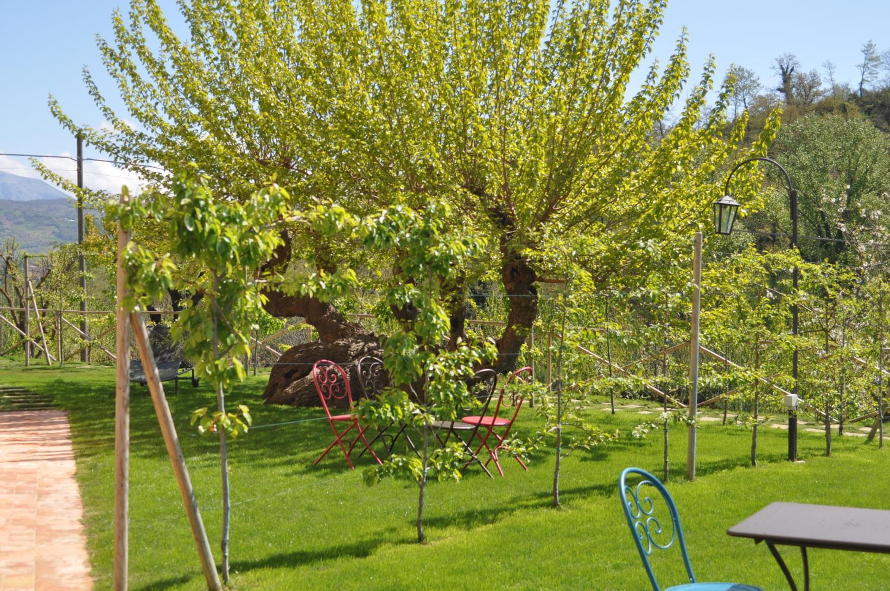 Agriturismo I Gelsi di Santa Cristina