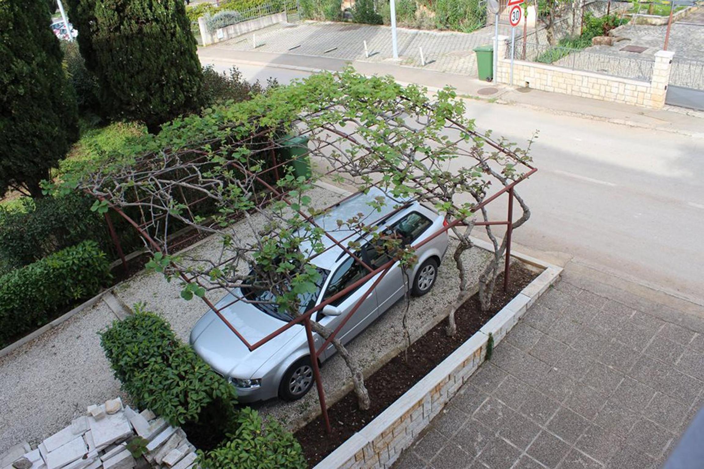 Photo 45