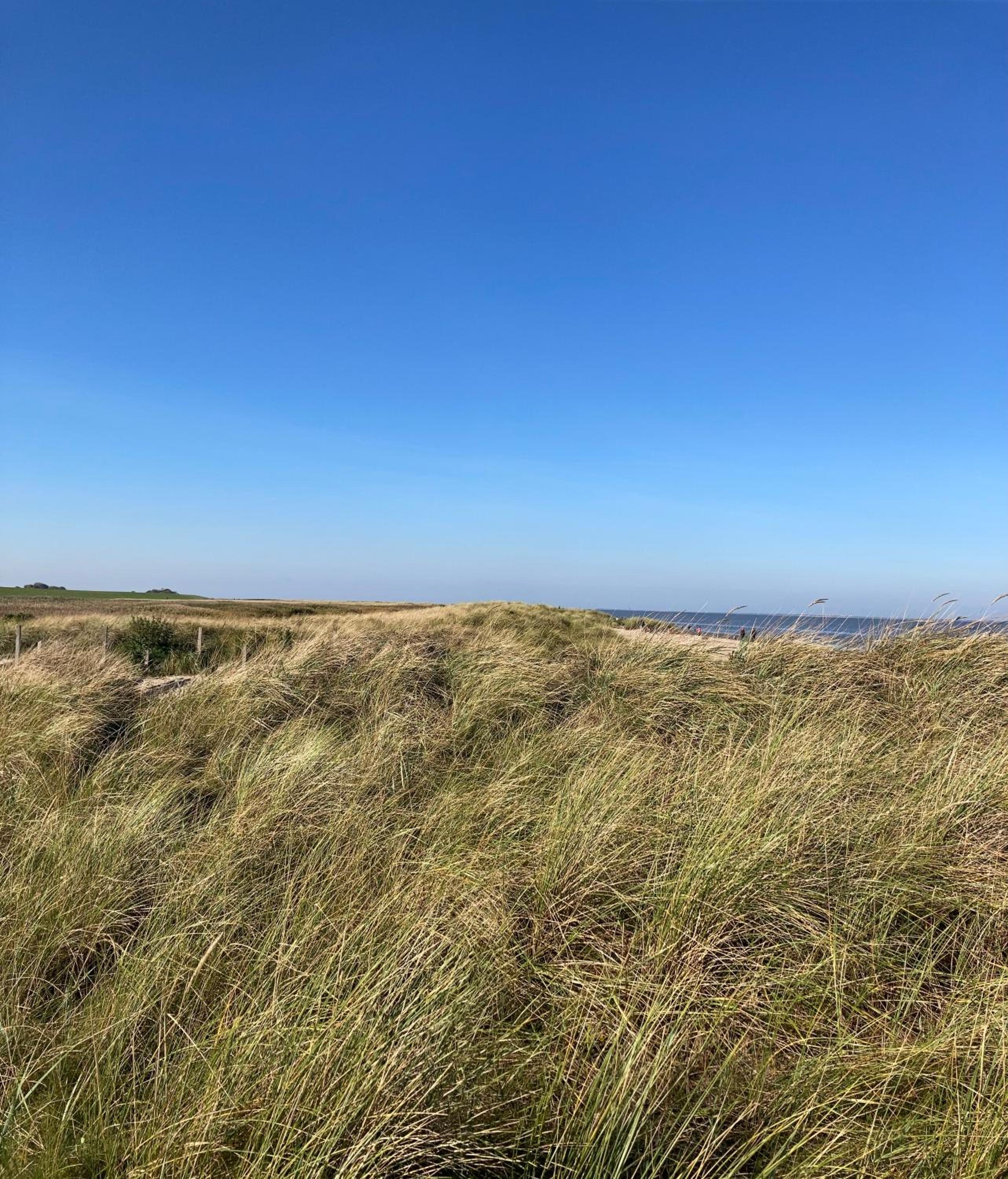 Ferienhaus Nordstrand