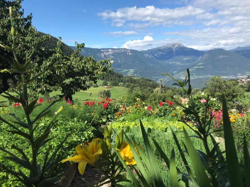 Alpenrose