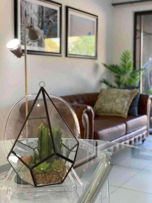 Nova Luxury Suites Fourways