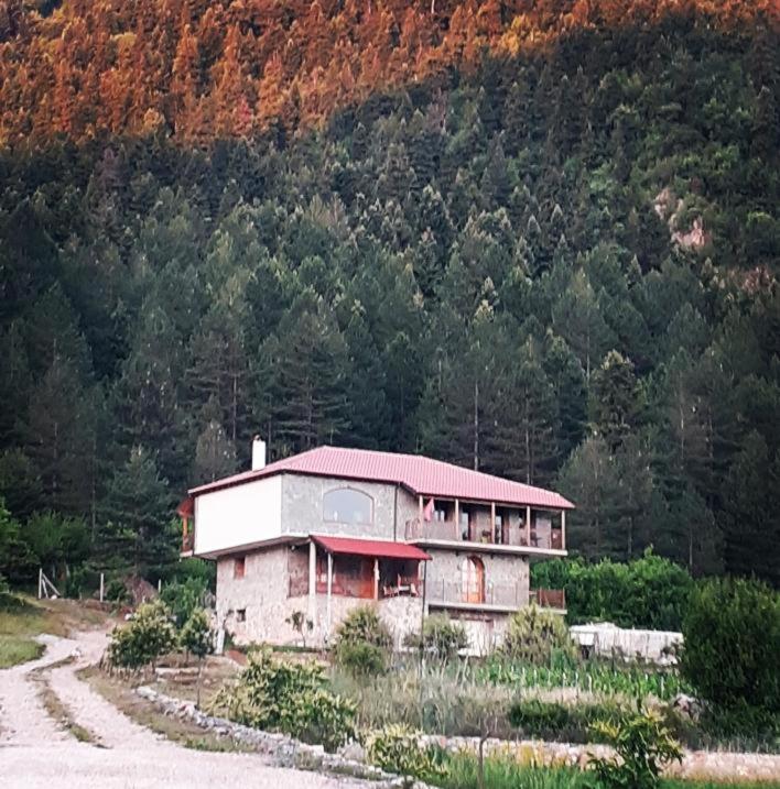 Bujtina Vila Dodo