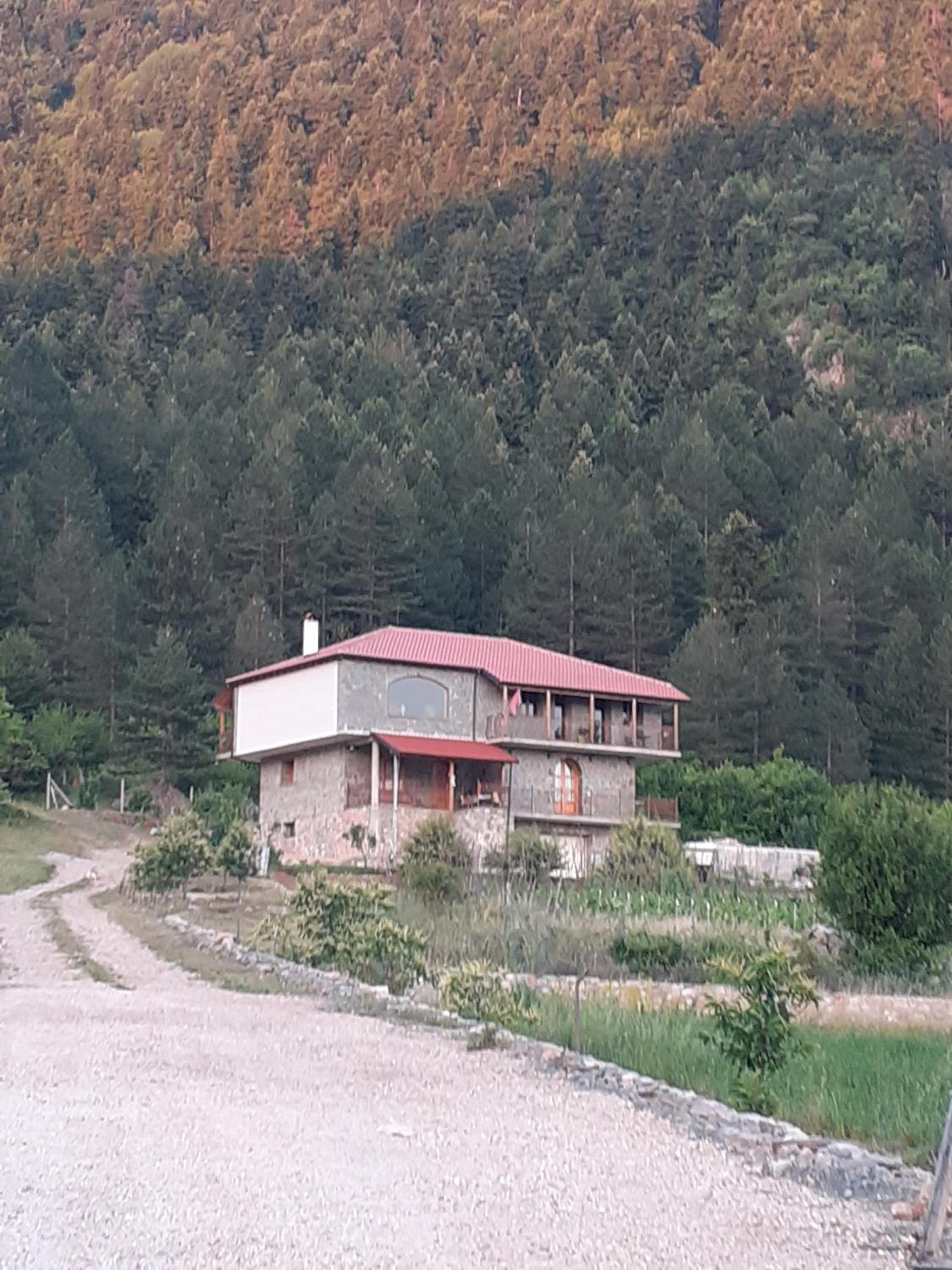 Bujtina Vila Dodo