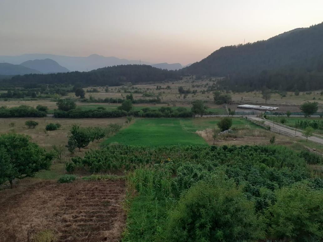 Bujtina Vila Dodo