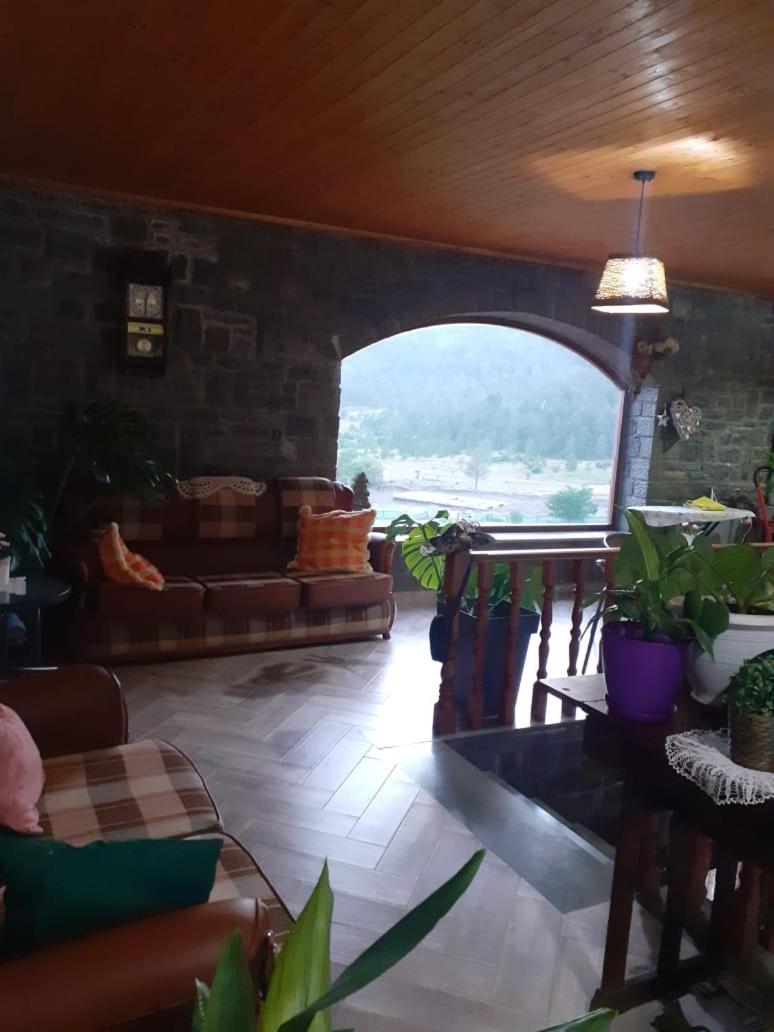 Bujtina Vila Dodo