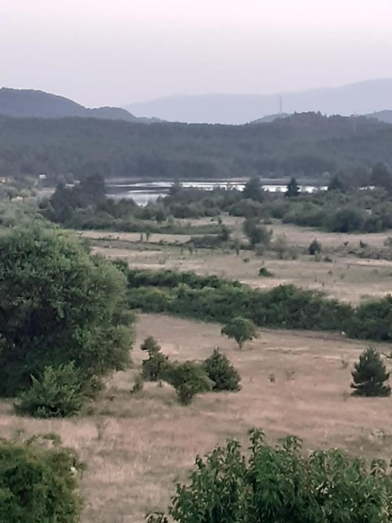 Bujtina Vila Dodo