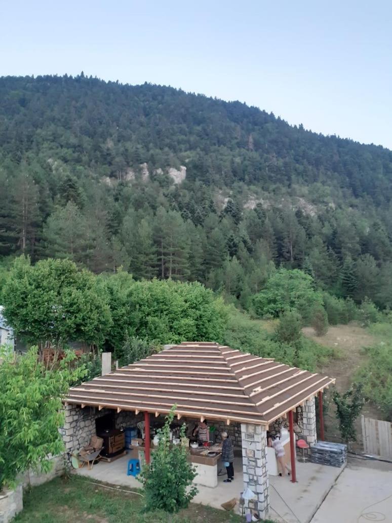 Bujtina Vila Dodo