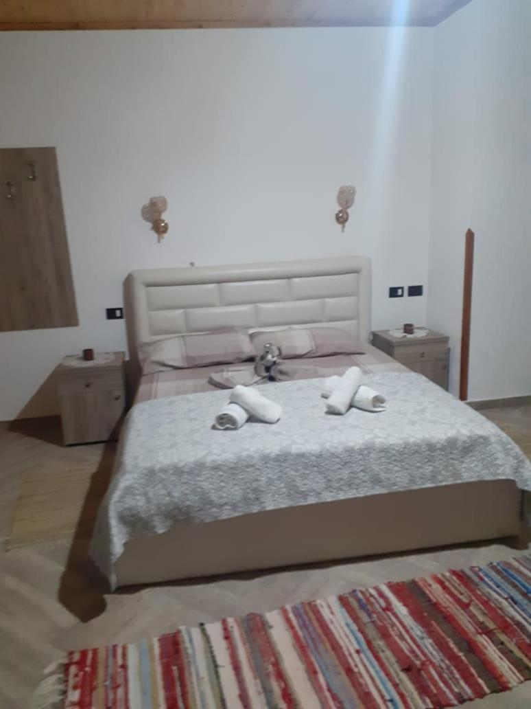 Bujtina Vila Dodo