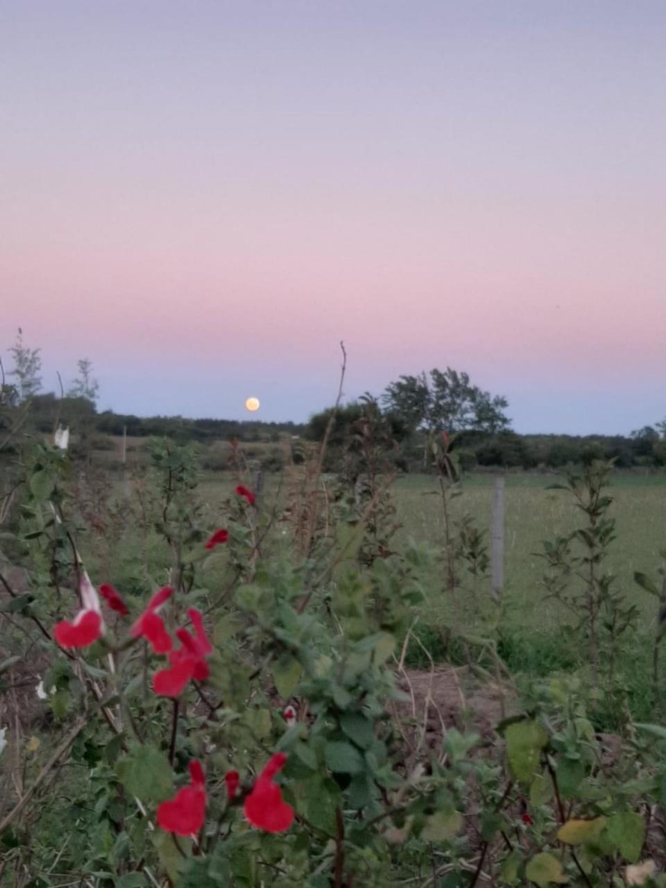 Tierra de Inmigrantes