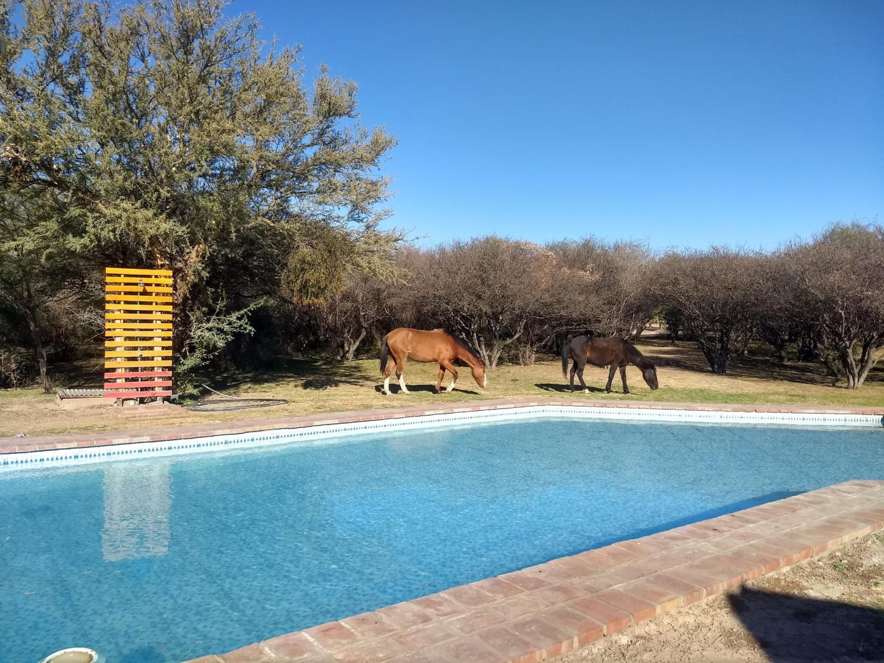 Complejo Casas de Campo