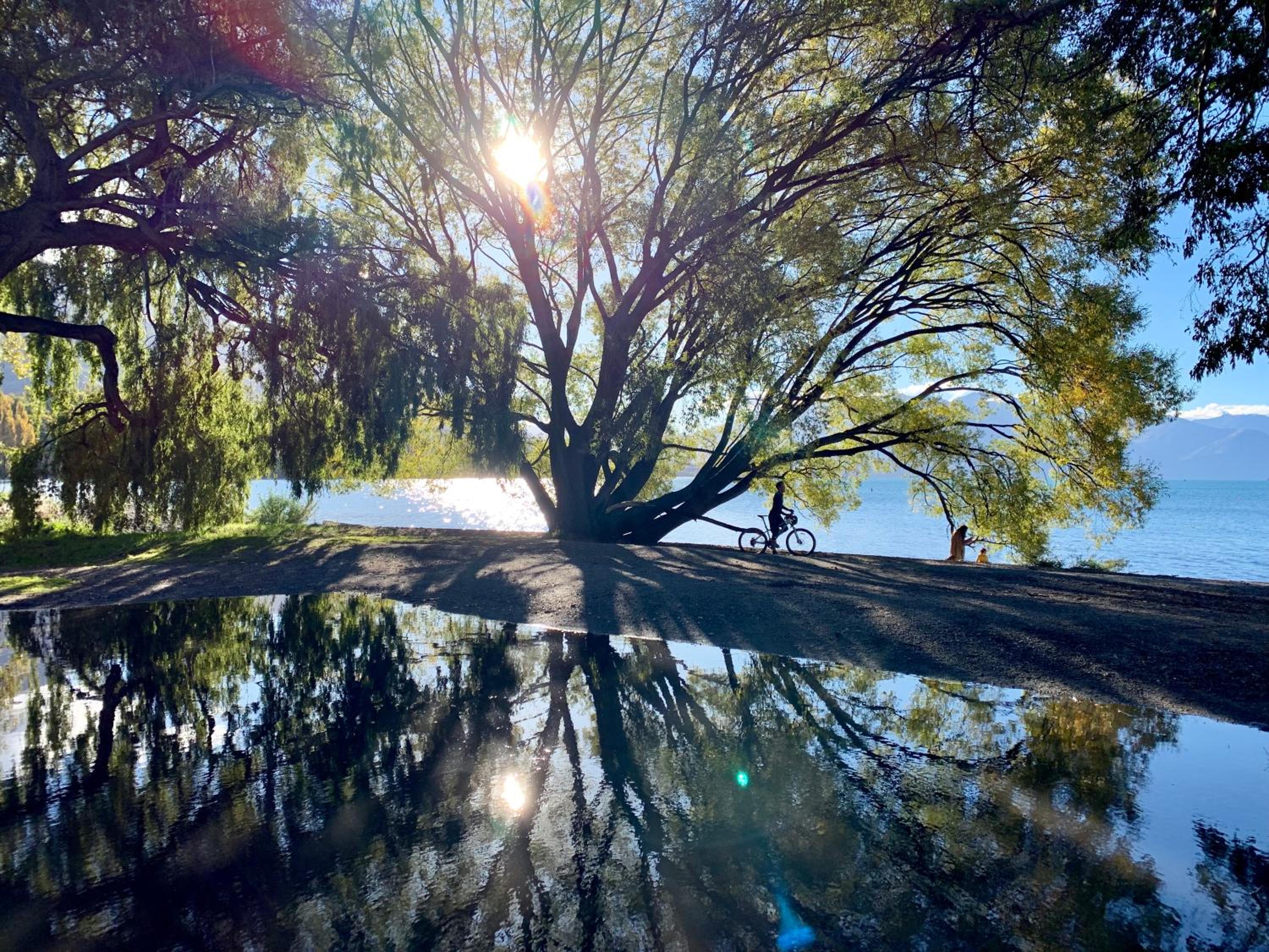 Photo 17