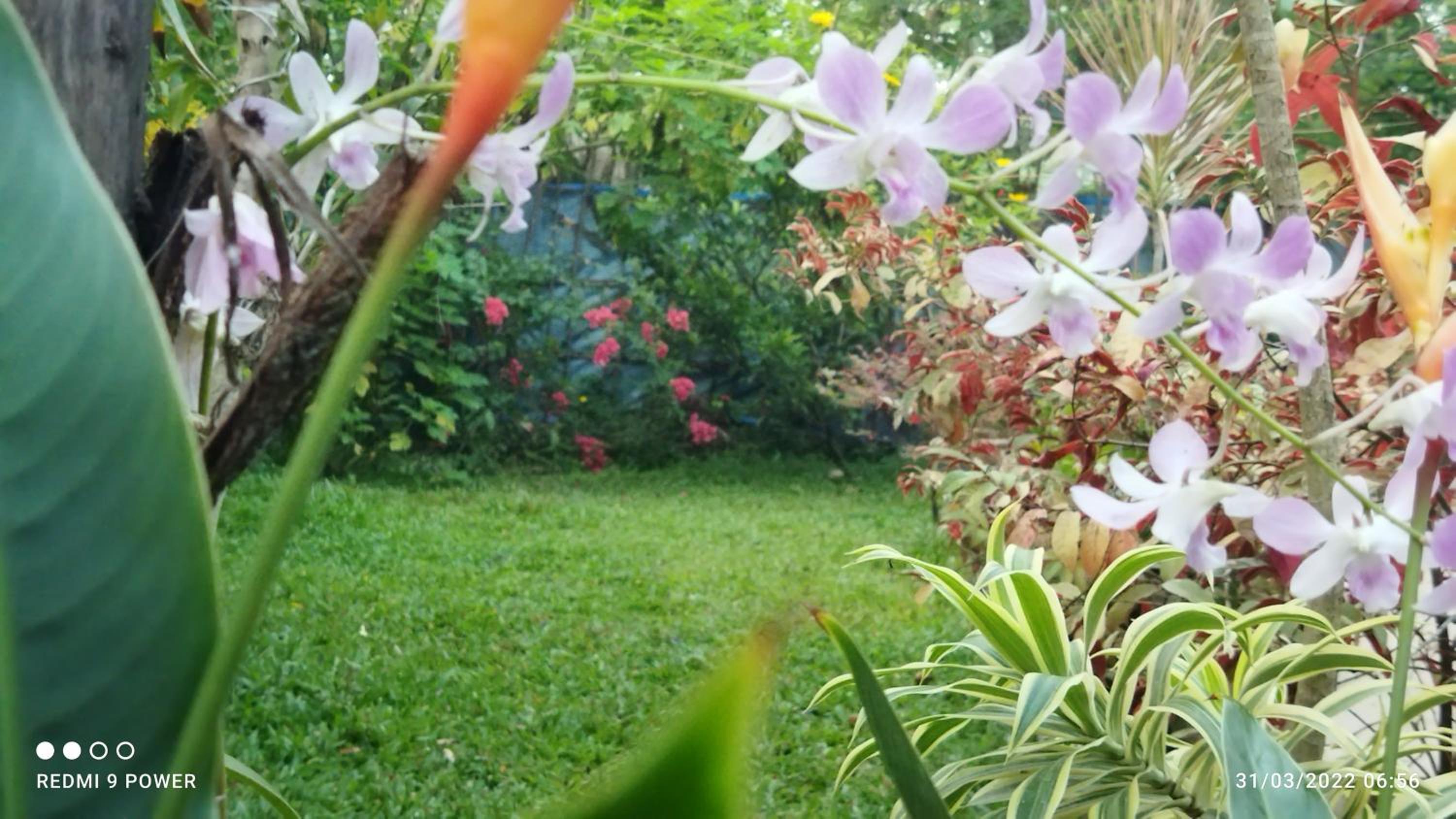 Photo 40