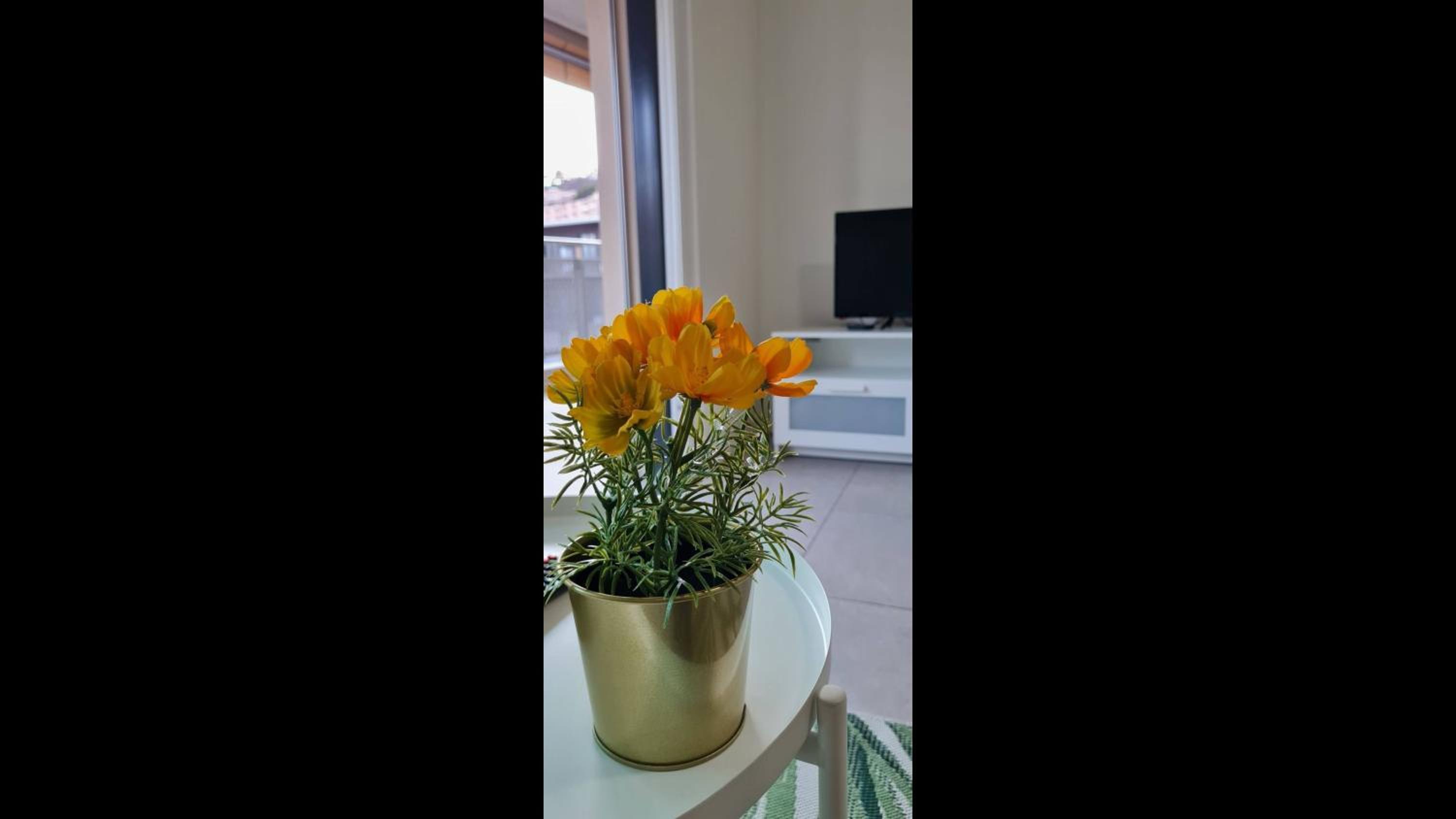 Central Brand New Apartment With Private Parking view 5