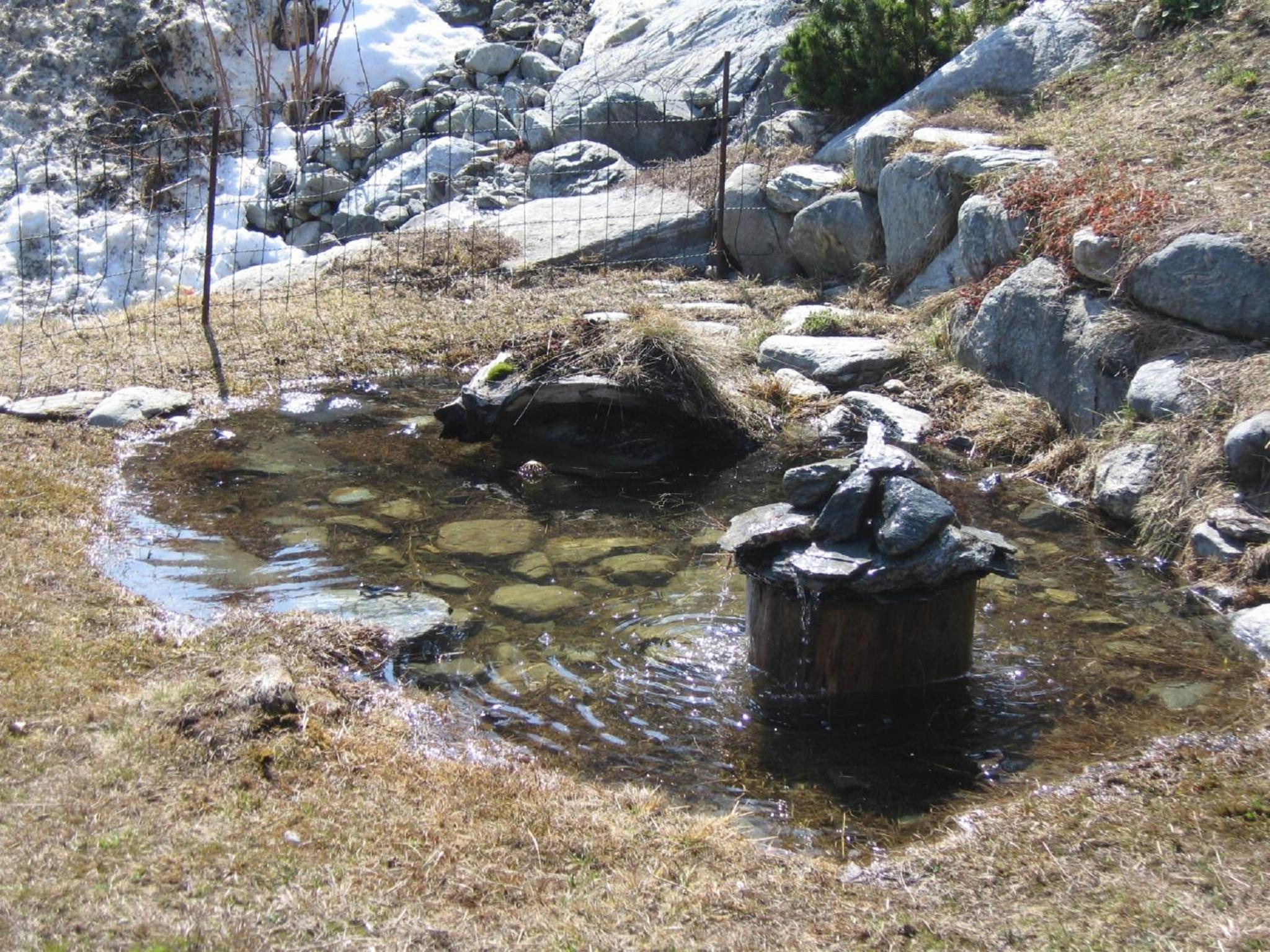 Photo 12
