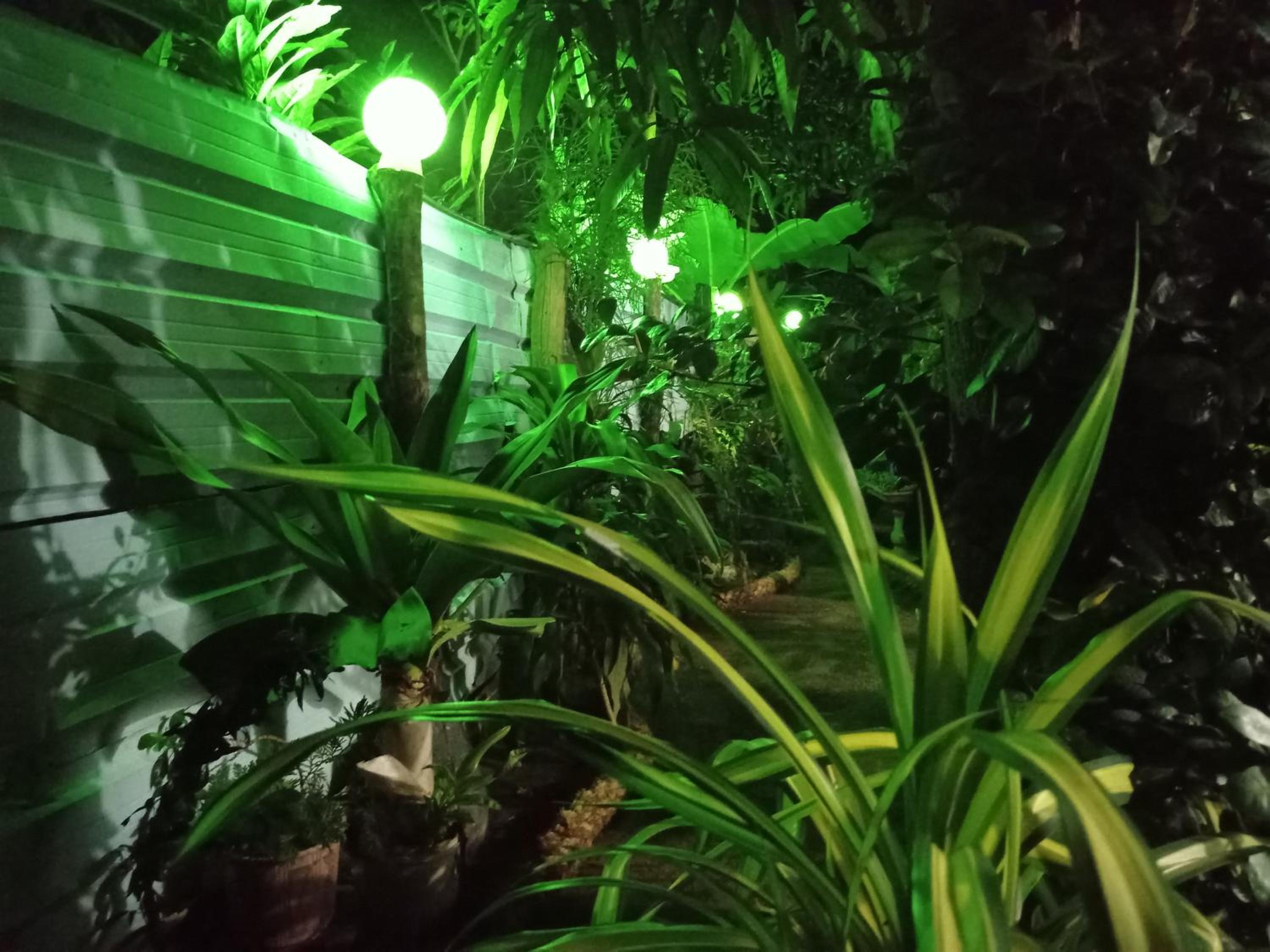 Family villa Nilaveli