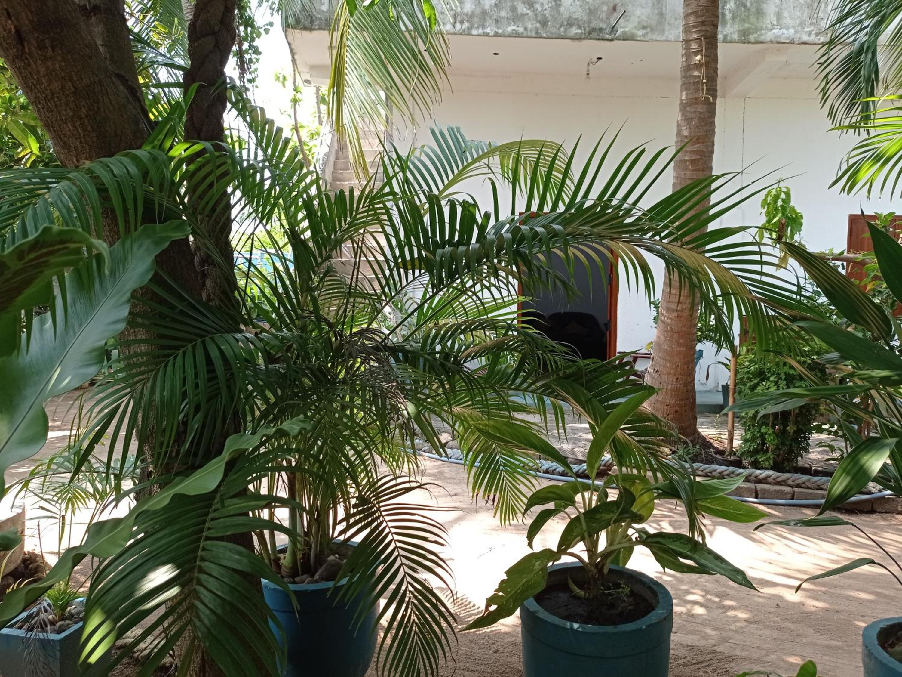 Family villa Nilaveli