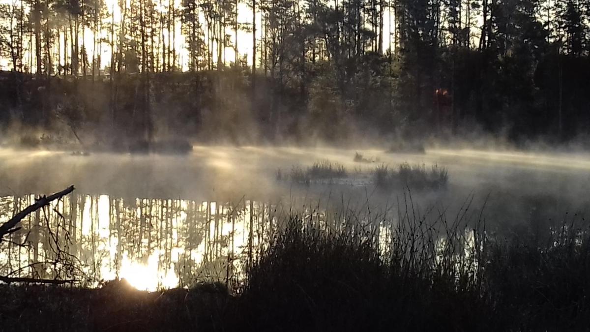 EKOLANDIA domek w lesie na wyłączność view 2