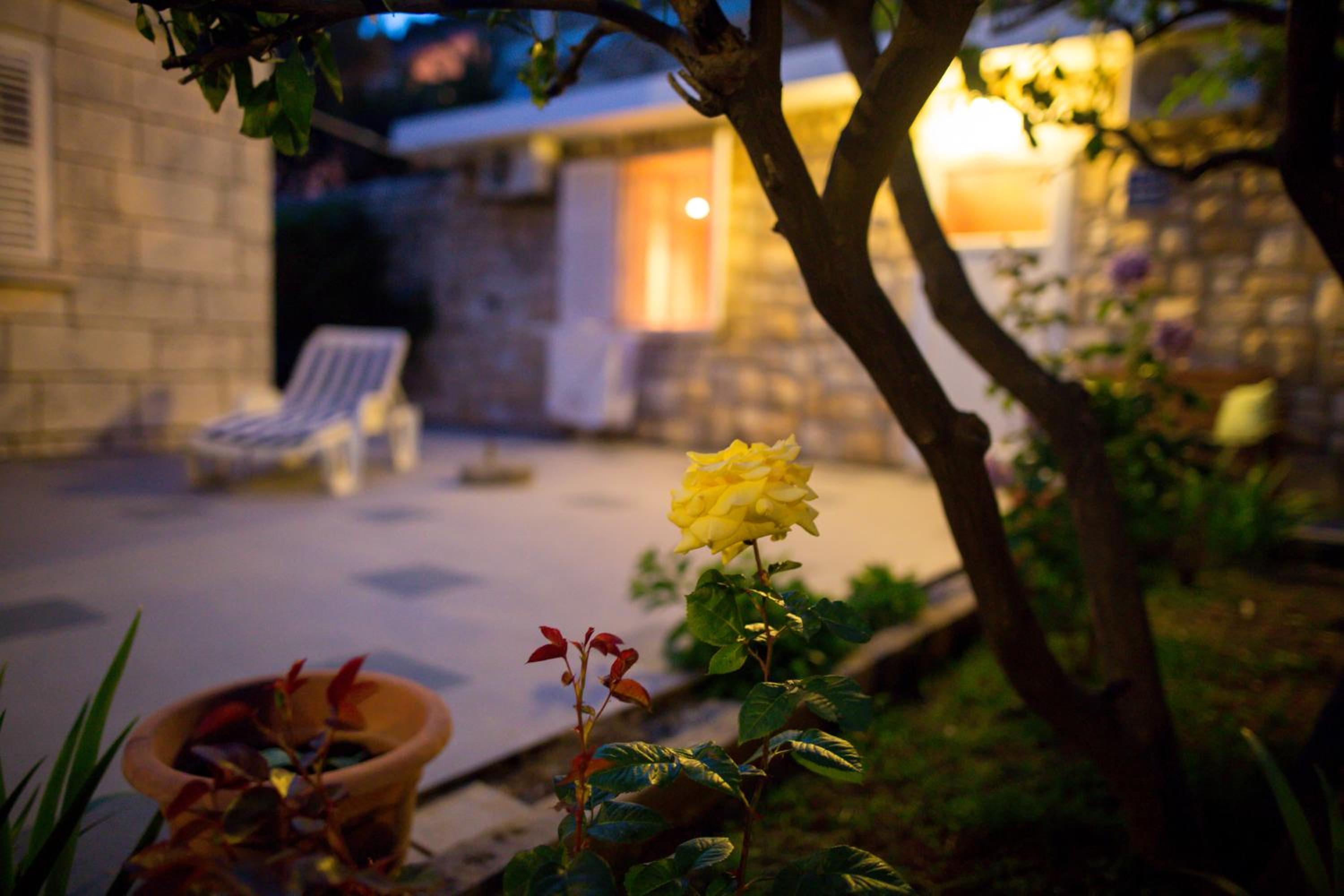 Apartments Biba
