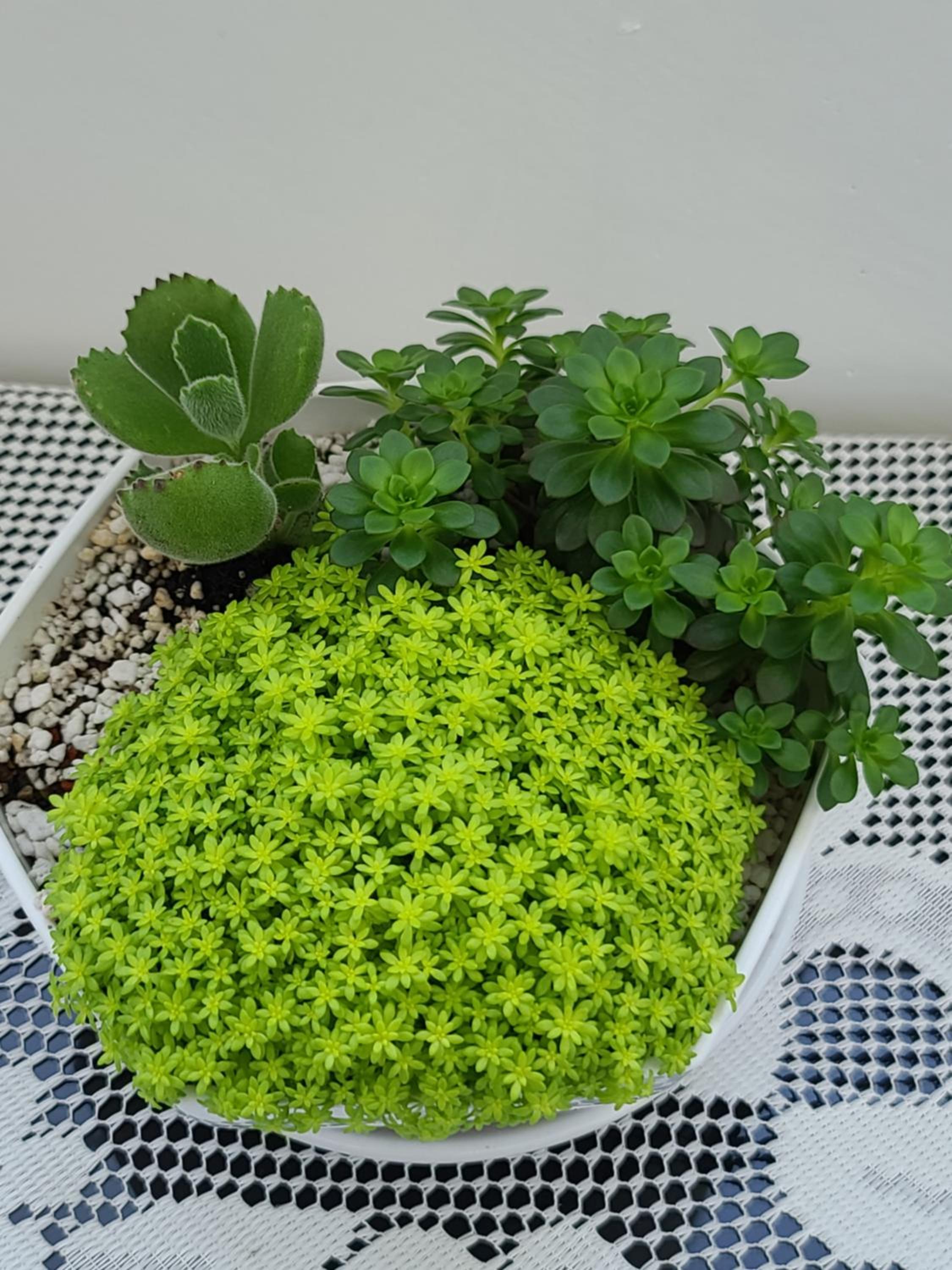 Photo 46
