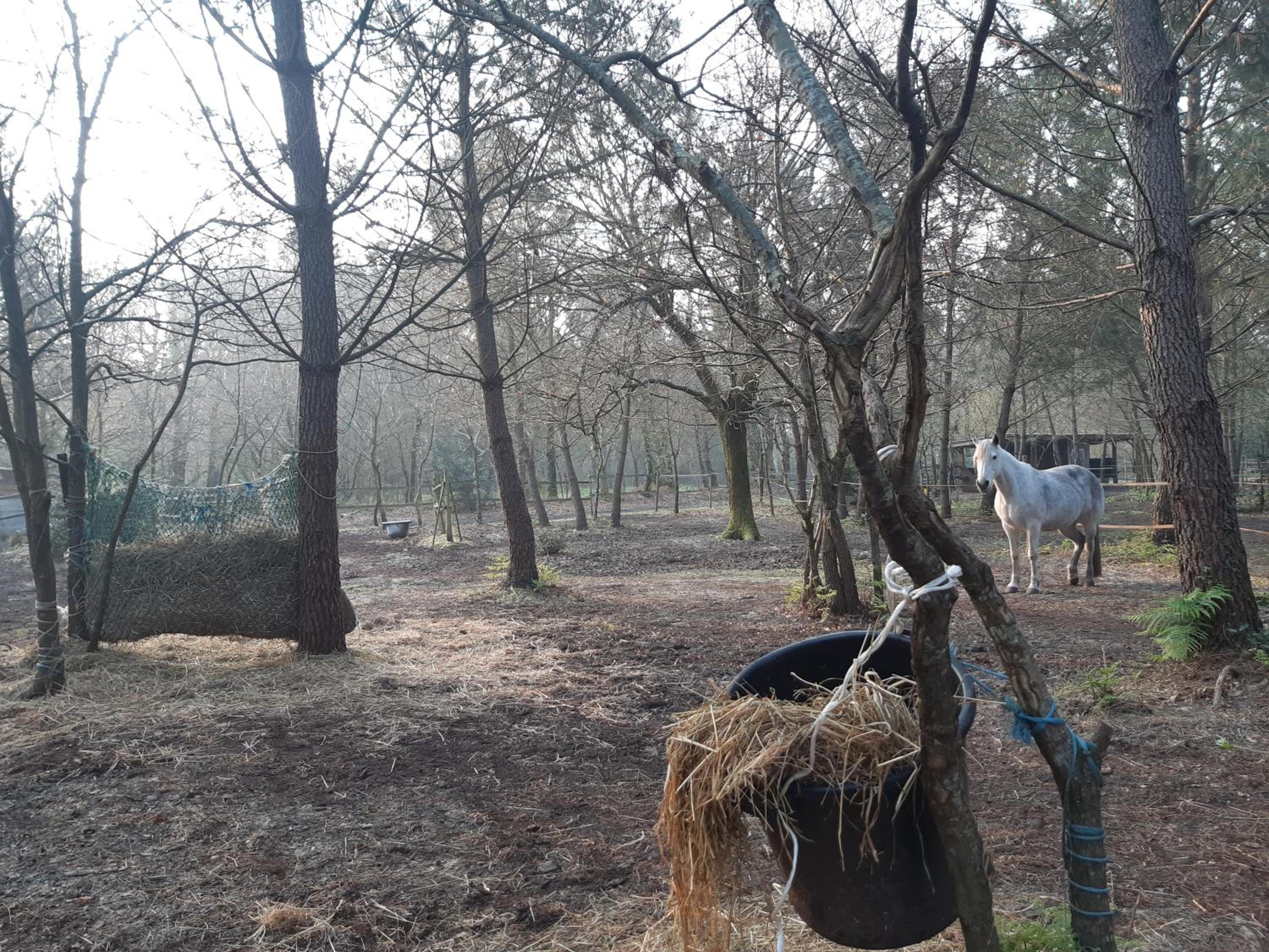 Domaine de l’Escuderia