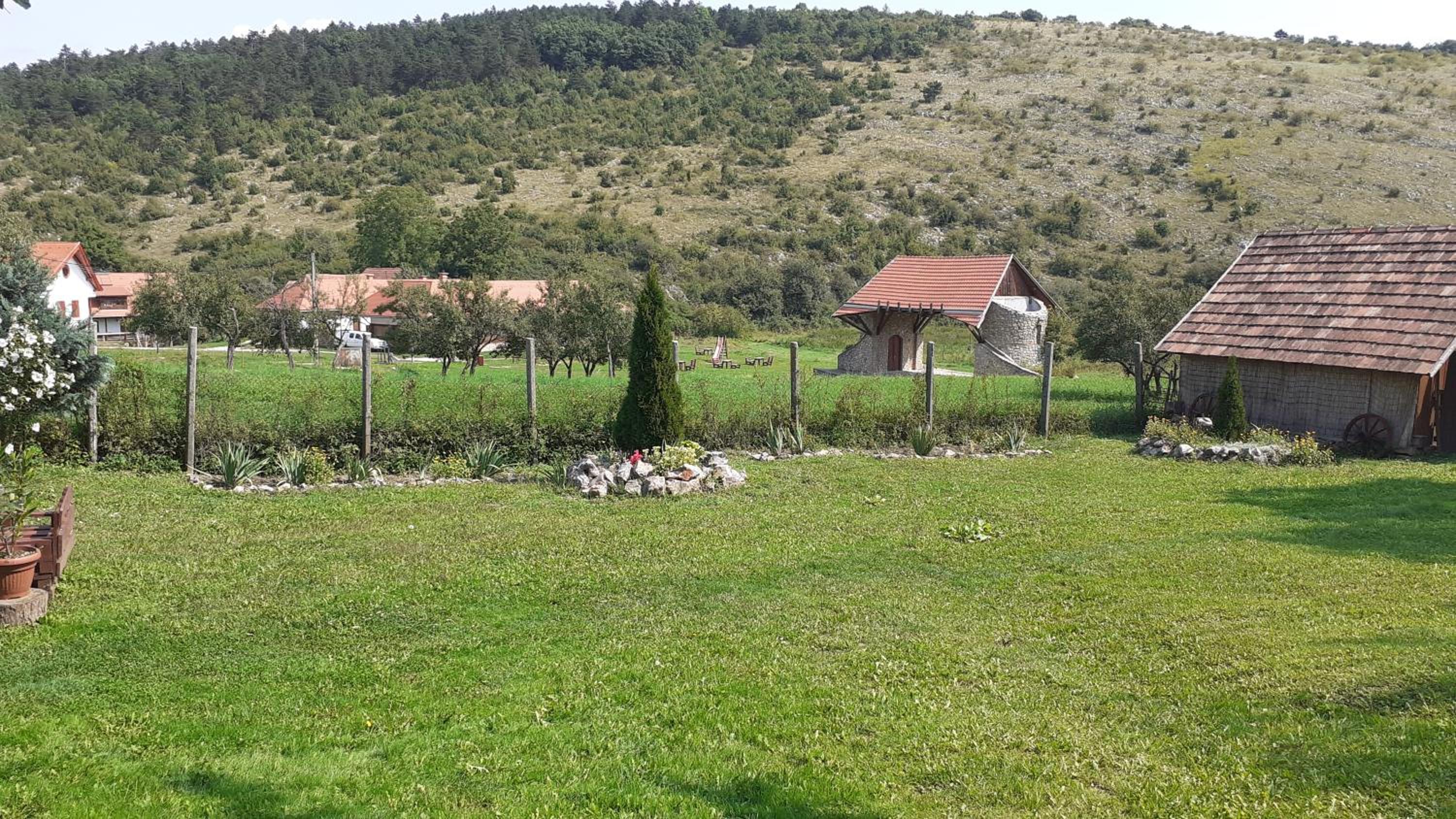 Photo 41