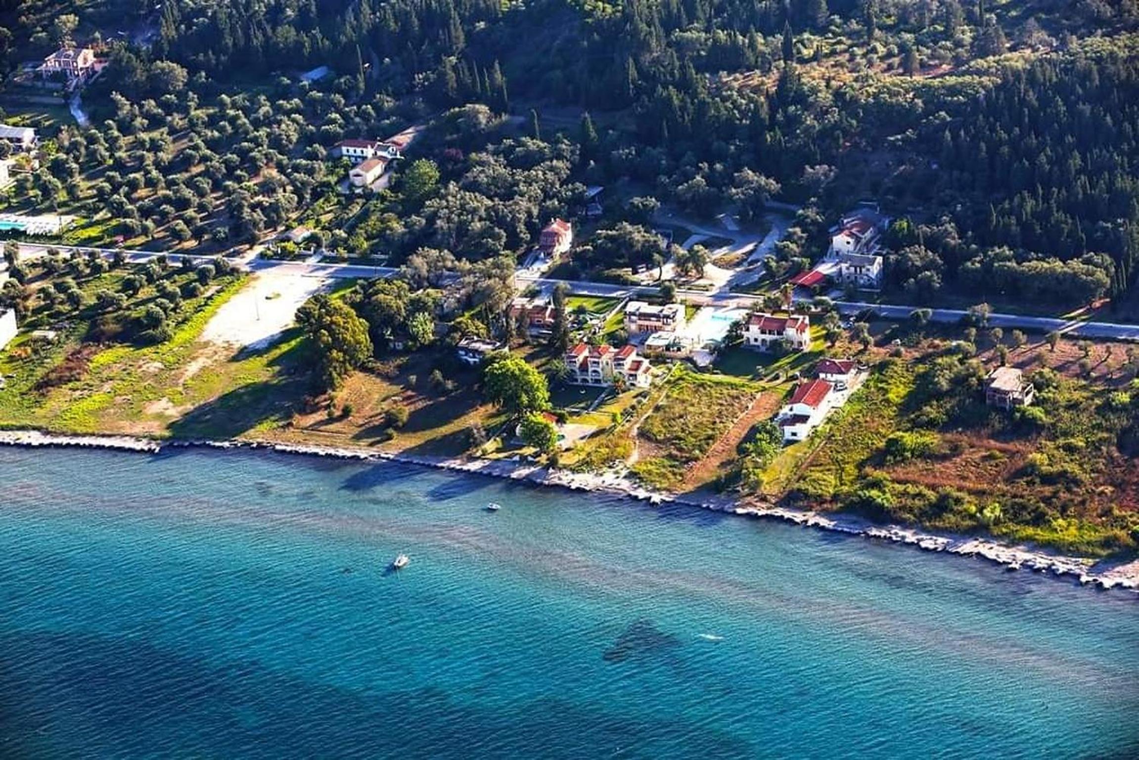 Summer Desire photo 5