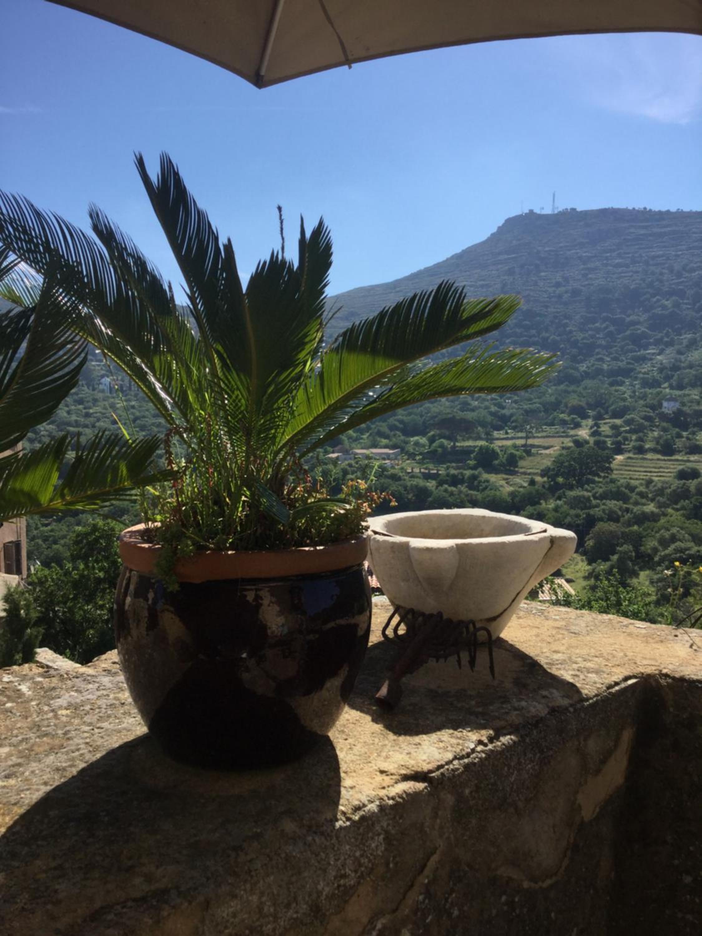 Maisonette Palazzu Pigna view 2