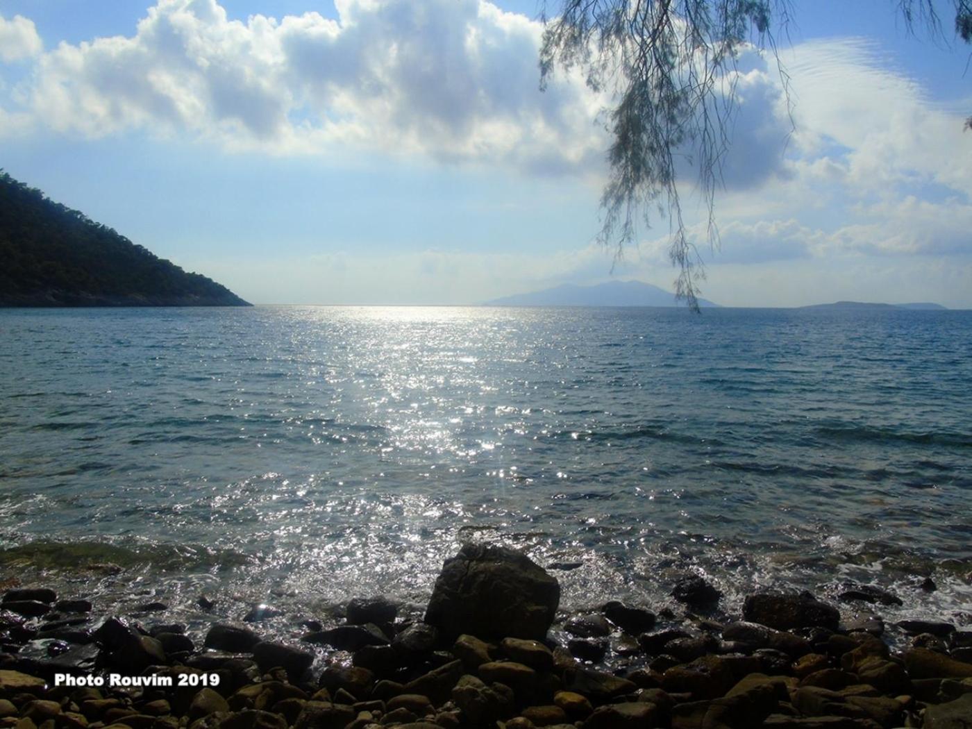 Photo 48