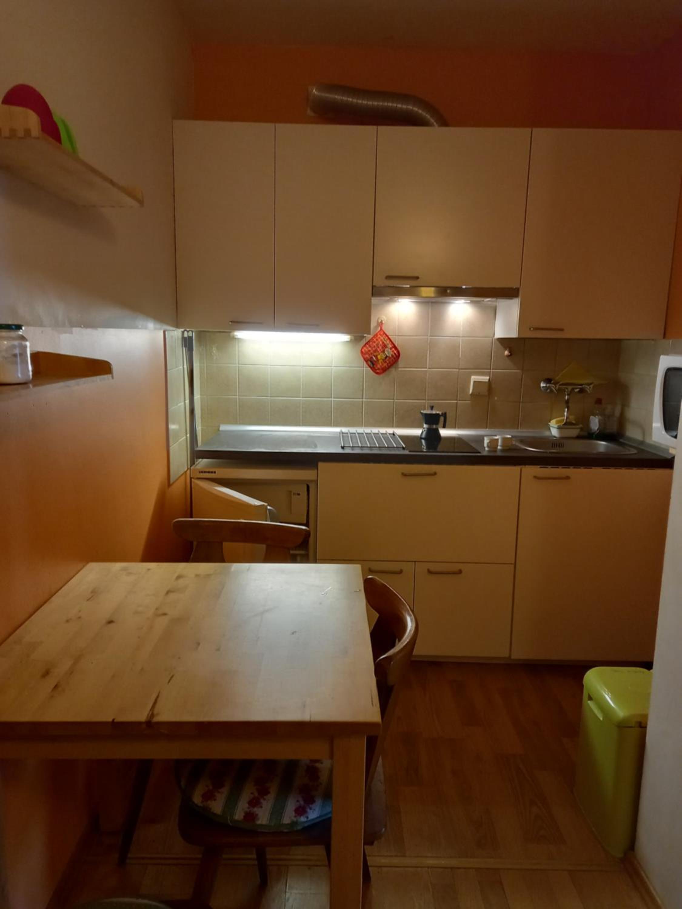 Panoramis apartment in Schladming