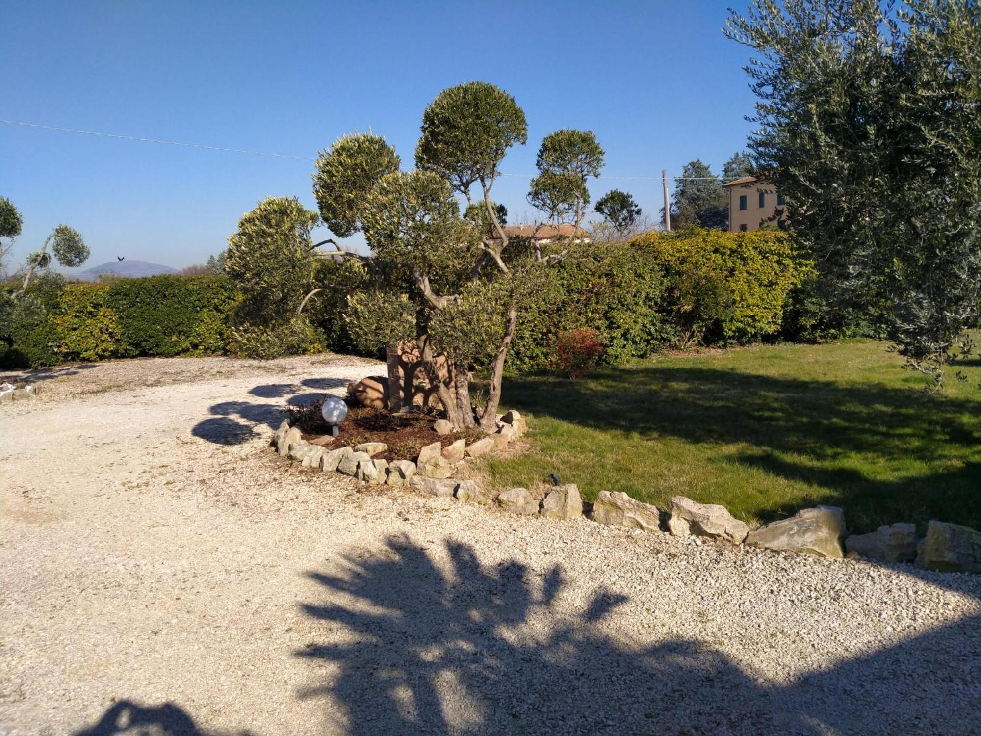 La Perla di Assisi, photo 31