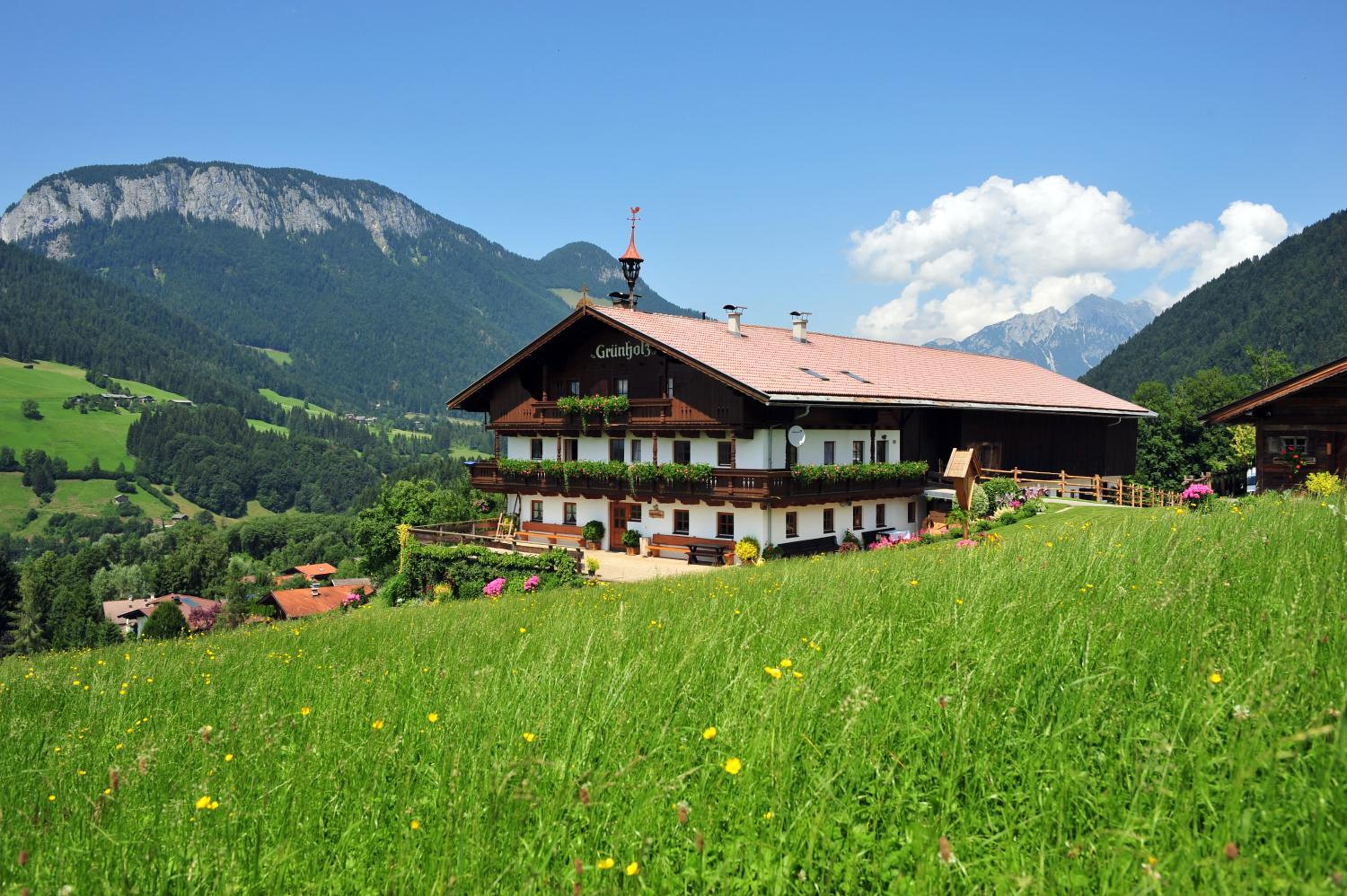 Appartements Grünholz