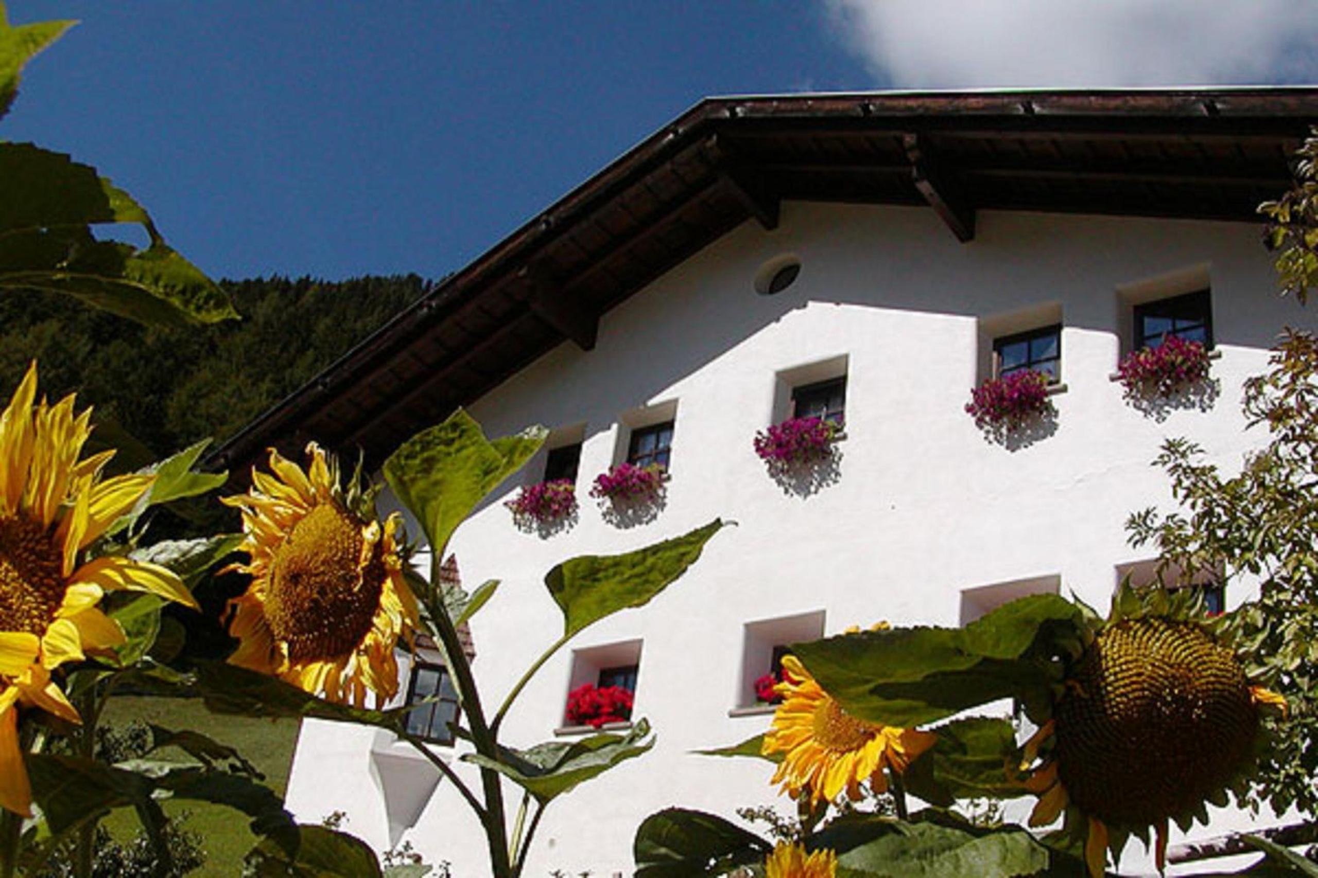 Agriturismo Apartments Tuene