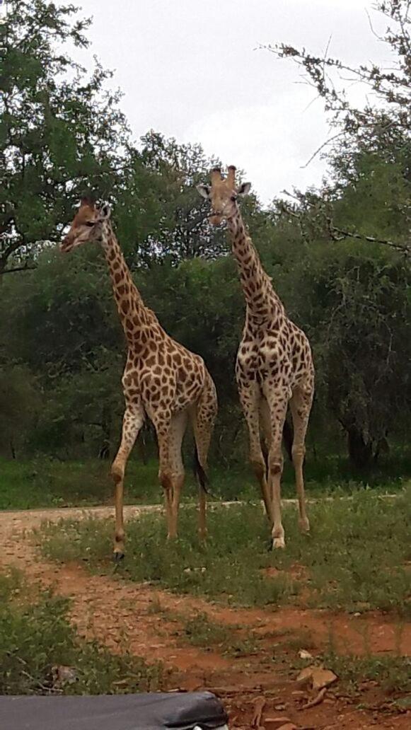 Matumi Self Catering
