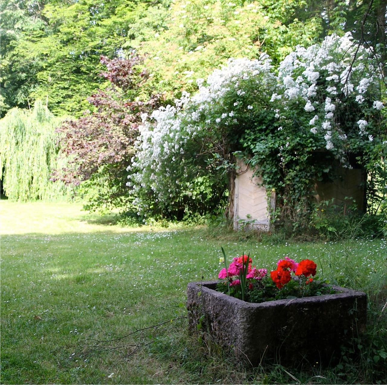 Photo 58