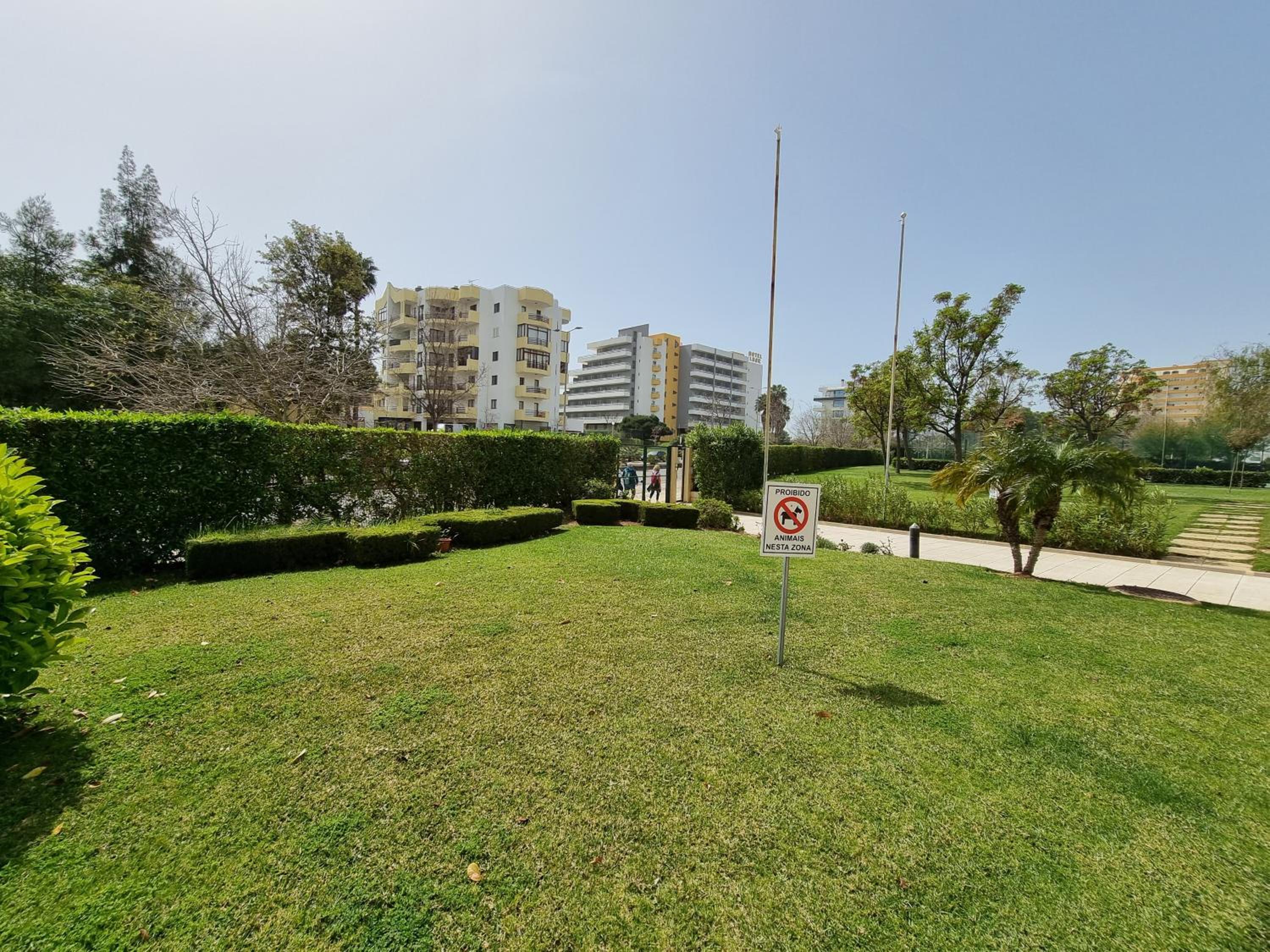 Apartamento encantador com piscina aquecida view 4