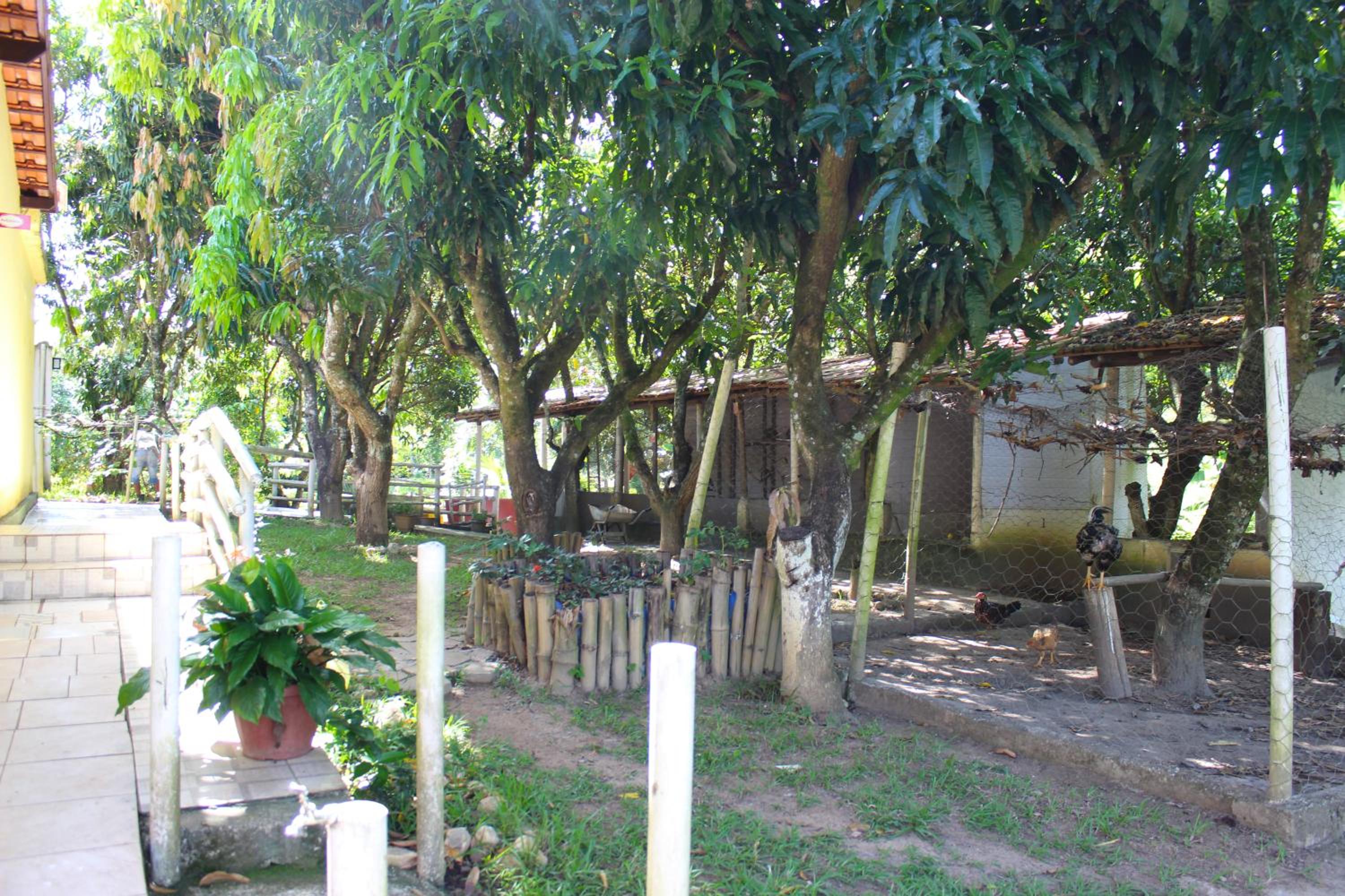 Photo 17