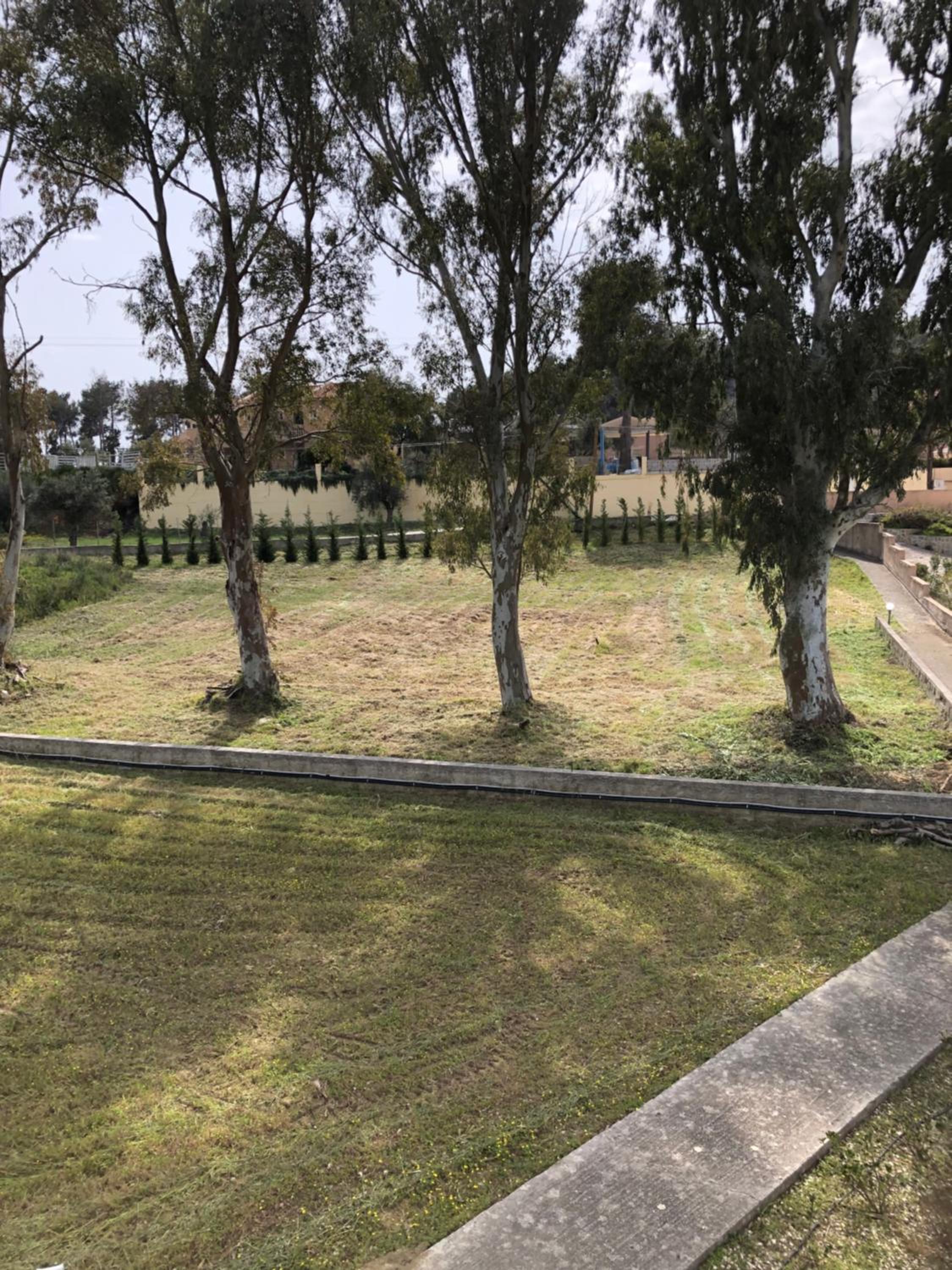 Aloni Studios and Apartments photo 2