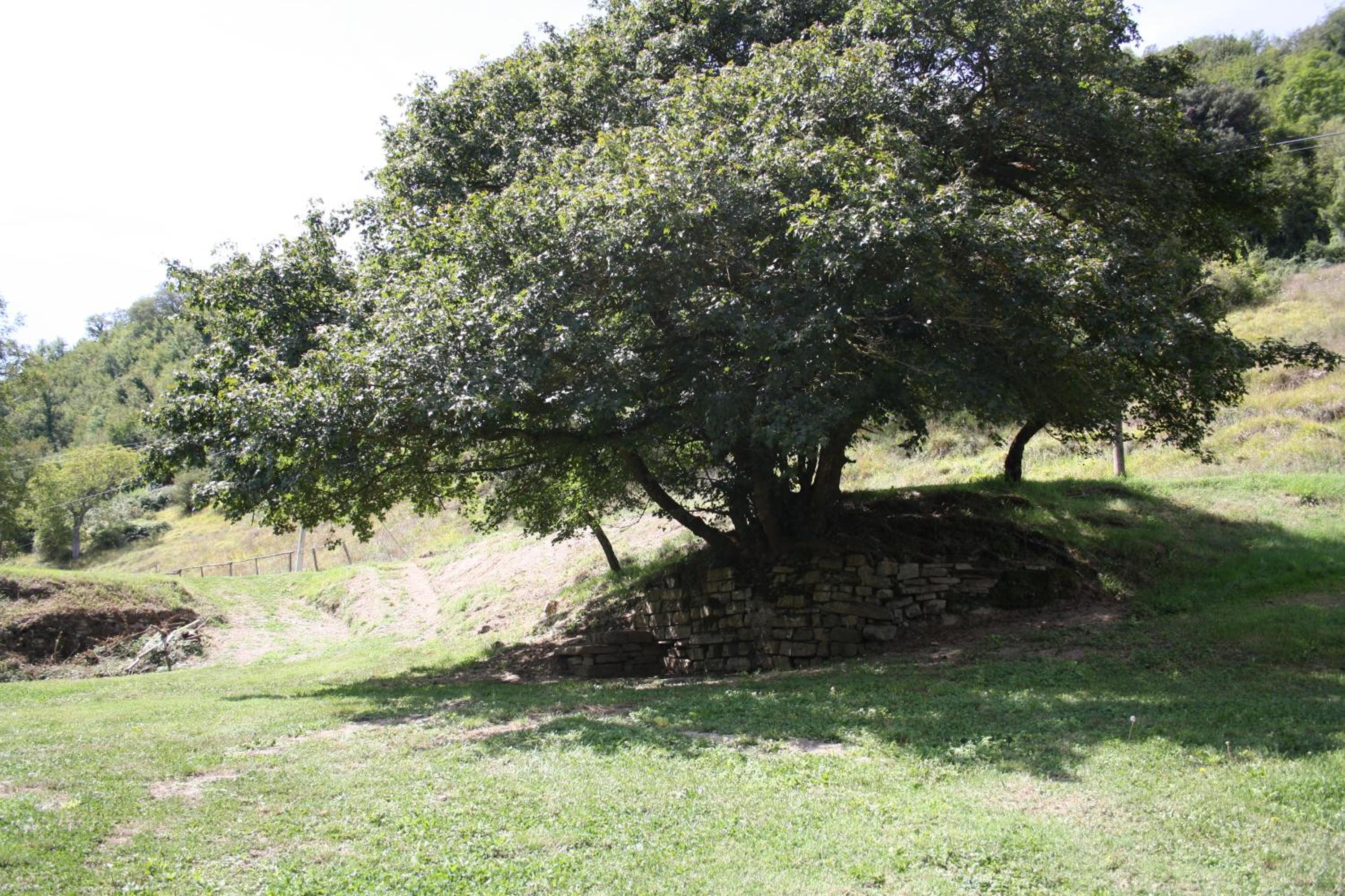 Photo 44