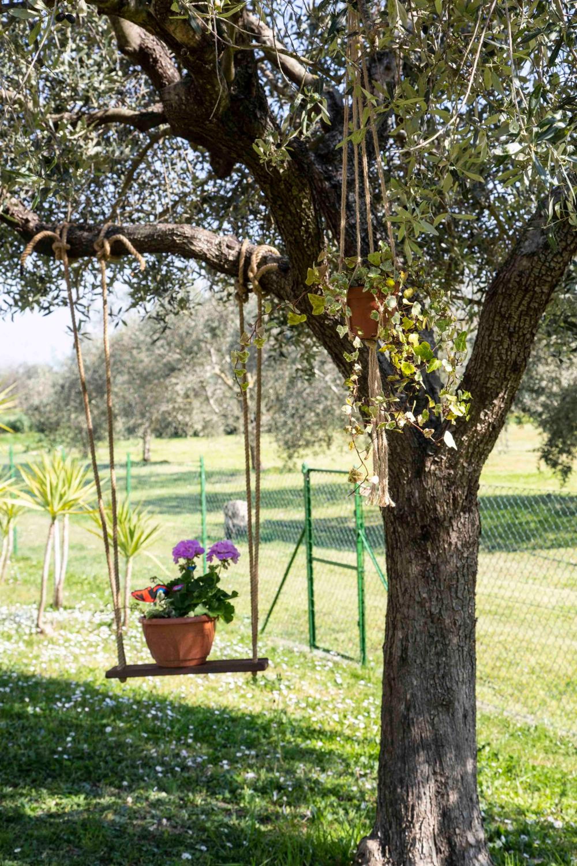 Casa Vacanze Oleandri view 5