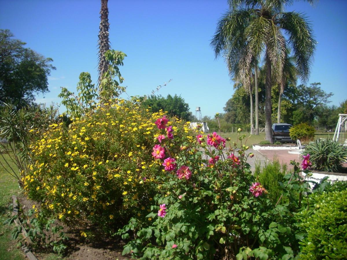 Photo 125