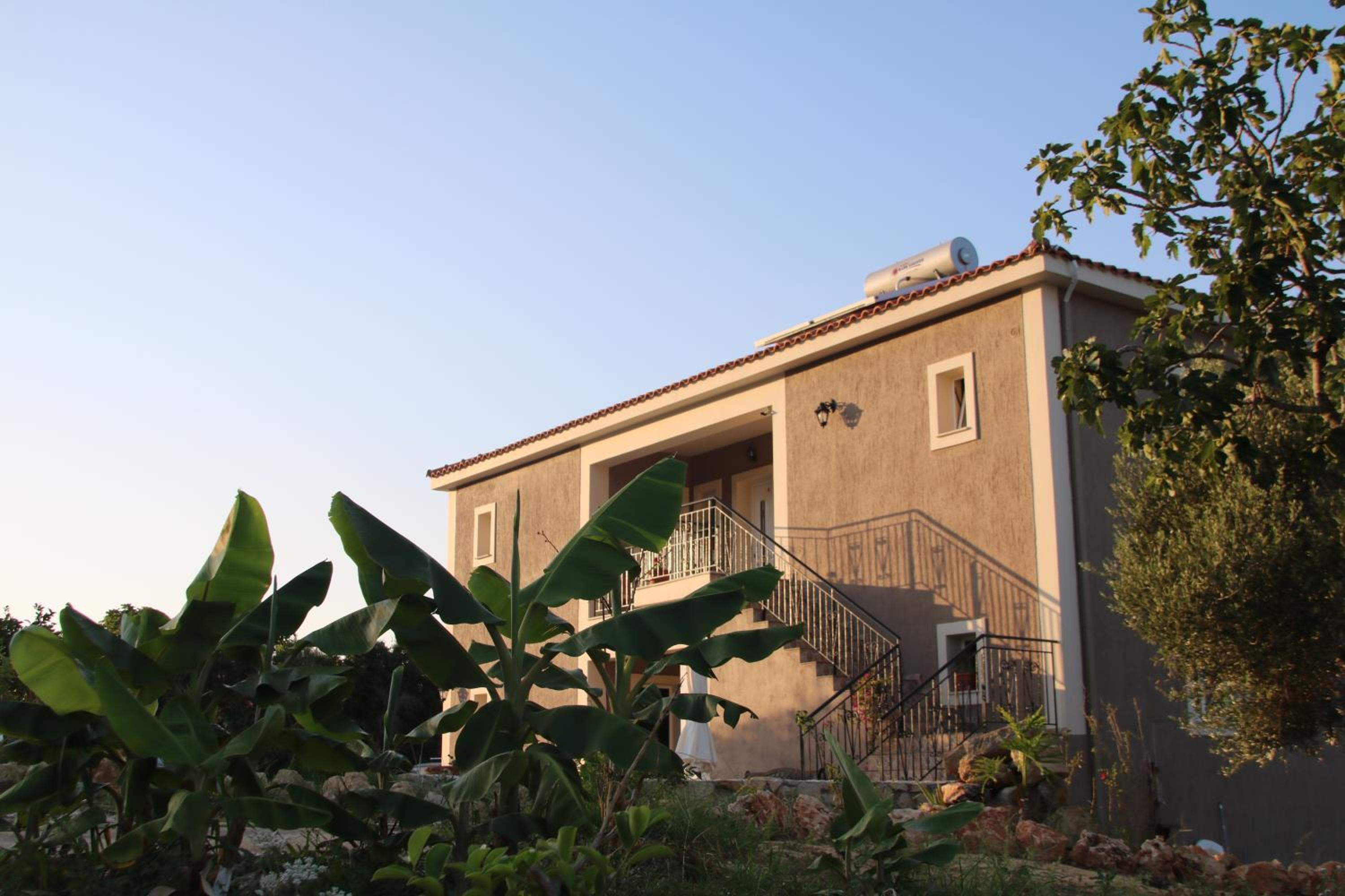 Photo 8