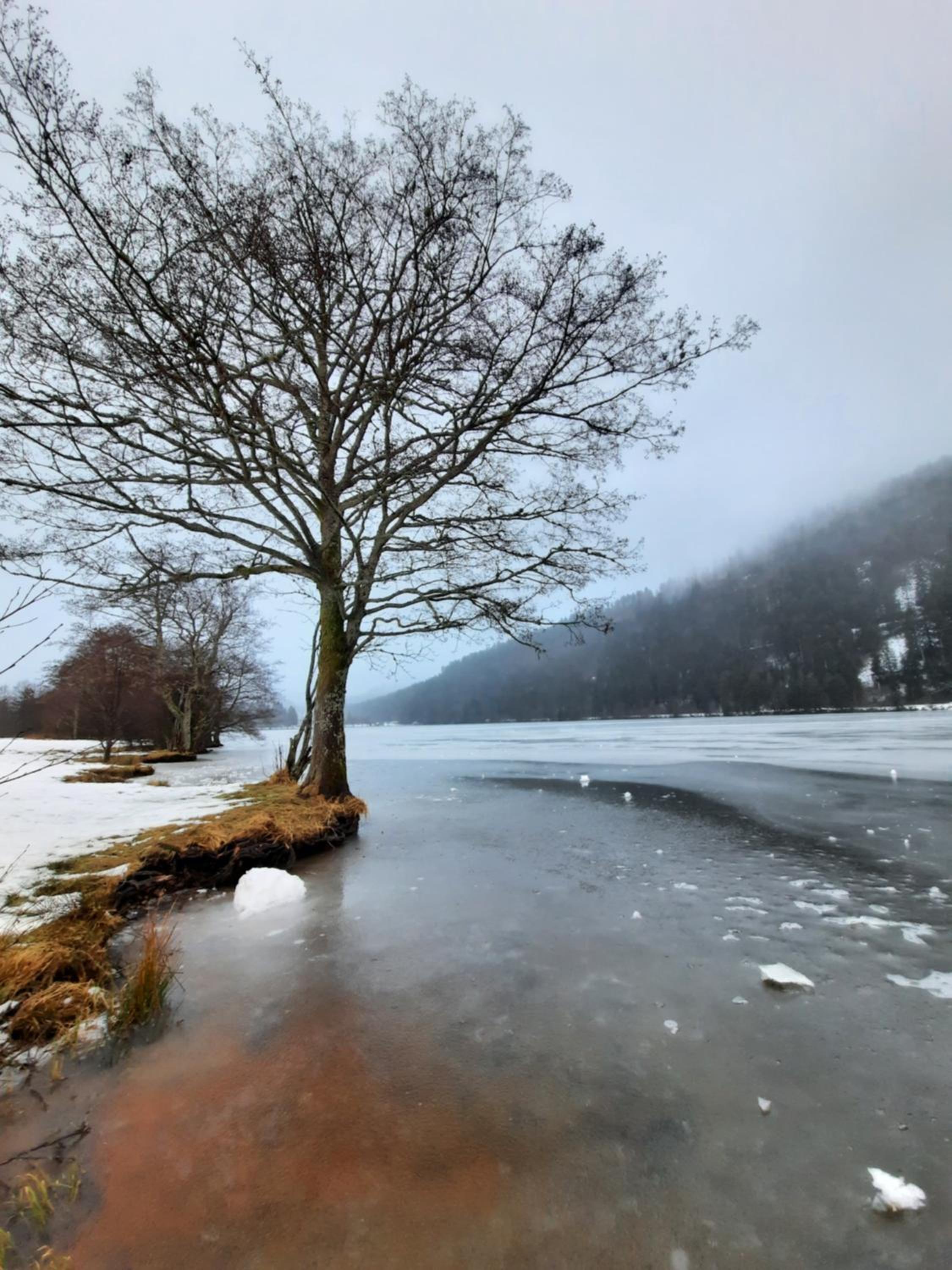 Au Cœur des Lacs - Chambres d'hôtes & spa, photo 46