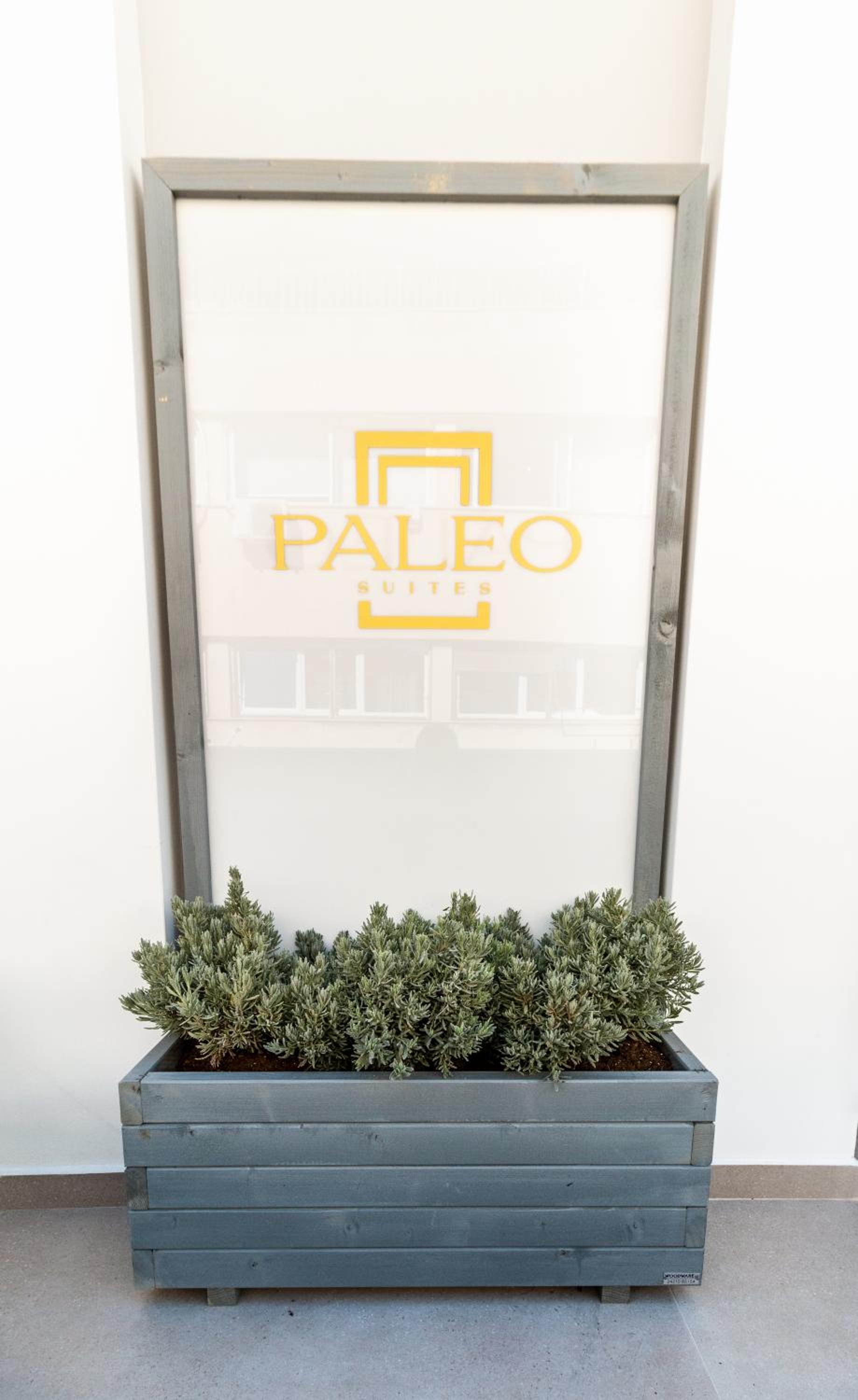 Paleo Suites