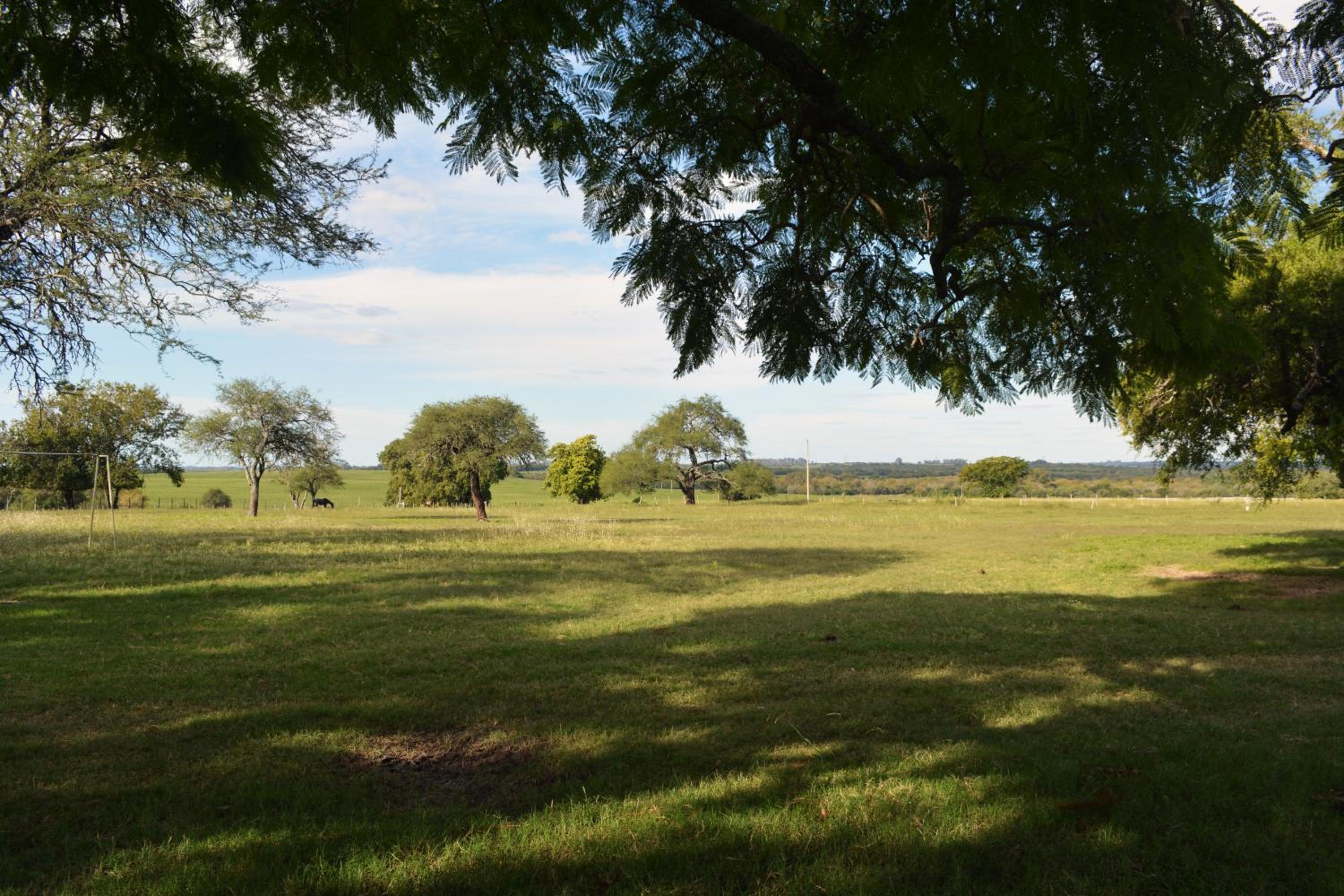 Photo 76