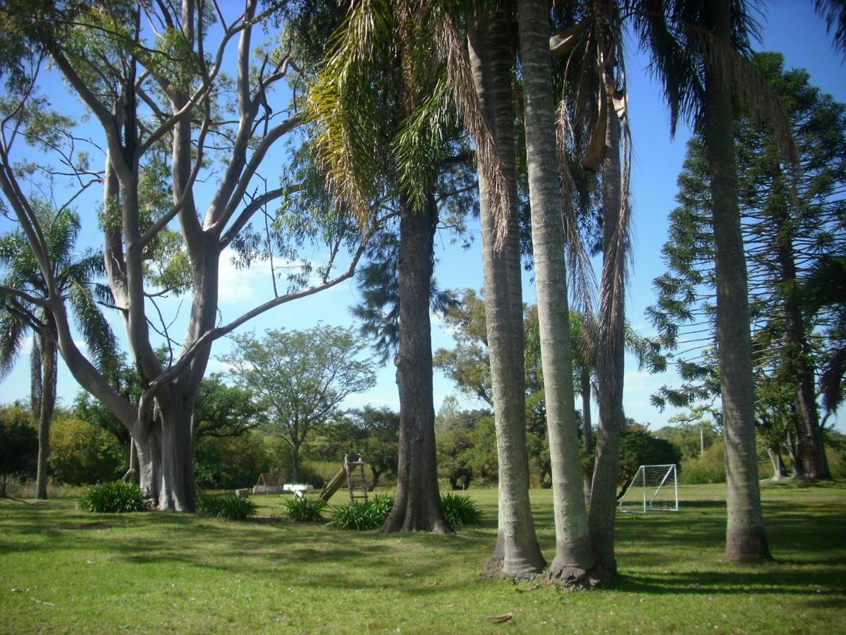 Photo 51