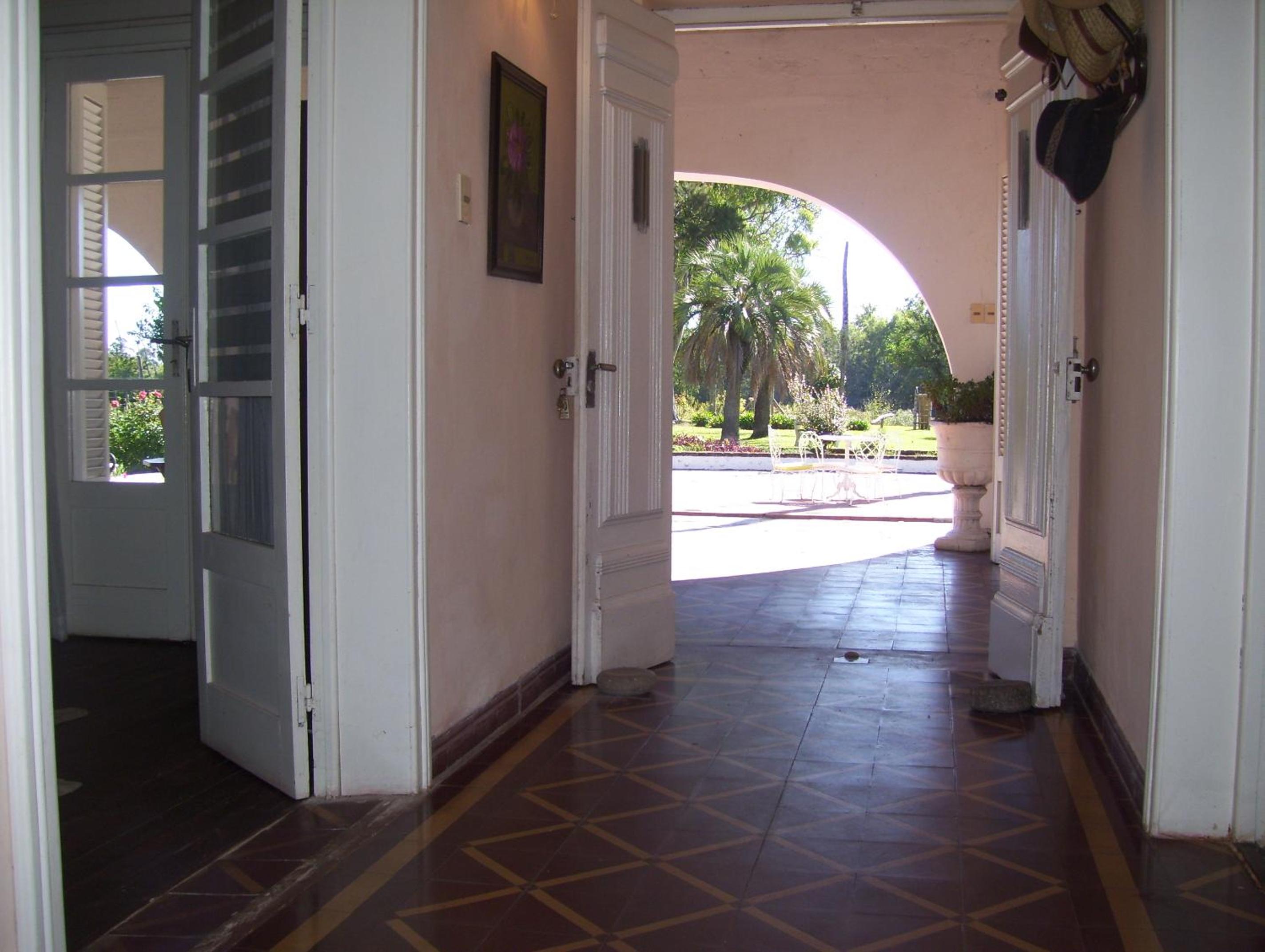 Photo 43