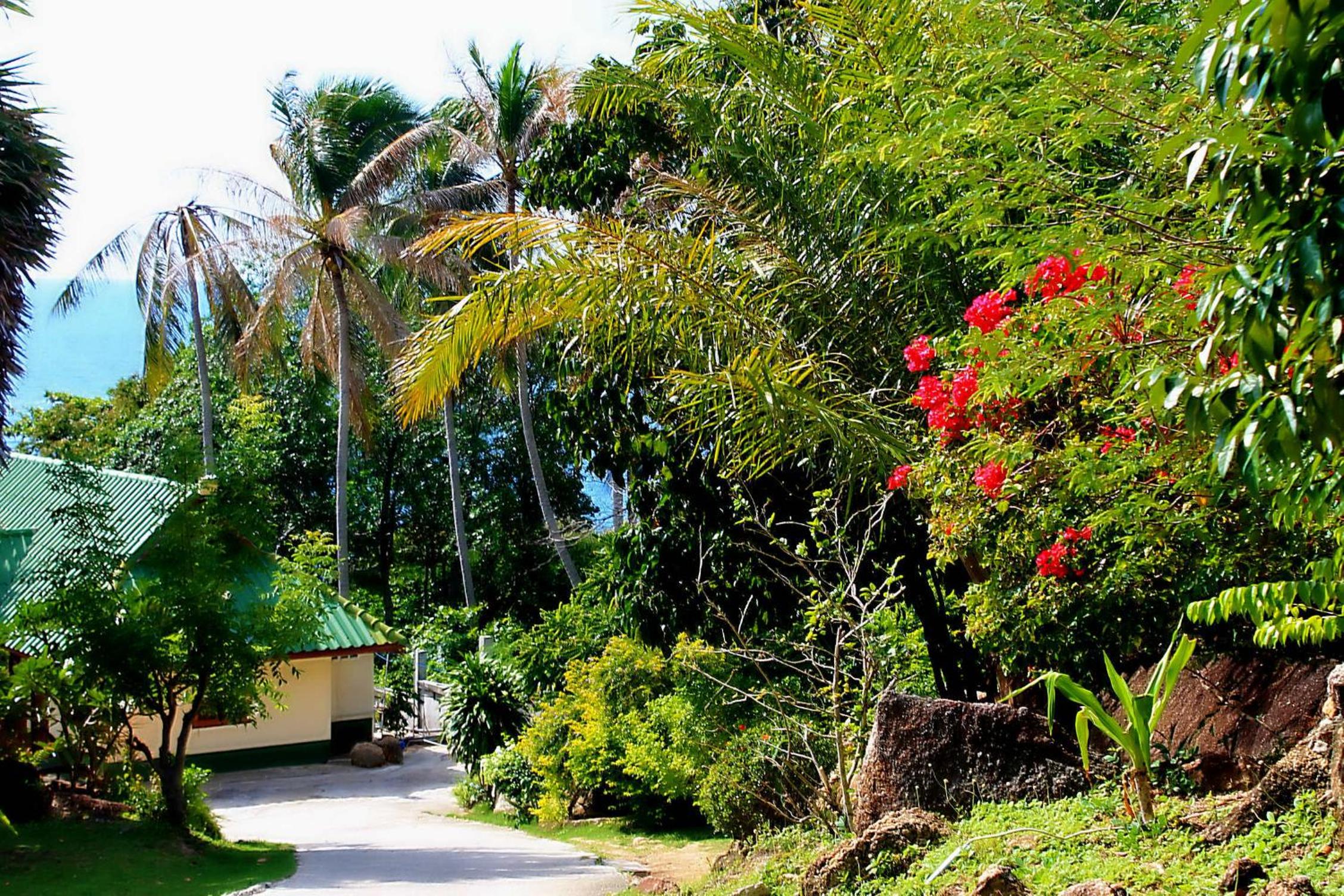 Lucky Resort